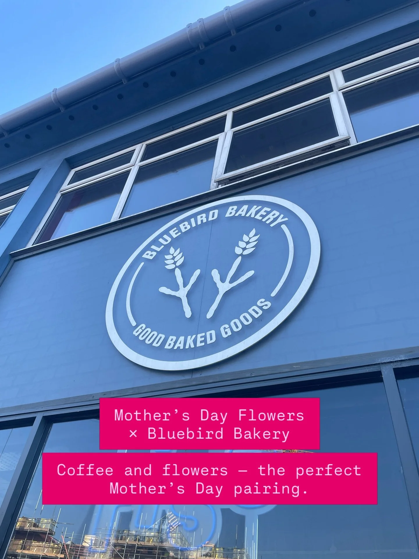This Mother&rsquo;s Day we&rsquo;re delighted to be collaborating with Bluebird Bakery in Acomb, York, so you can collect your bouquet on Mother&rsquo;s Day morning alongside excellent coffee and delicious treats. 

Order your flowers through our web