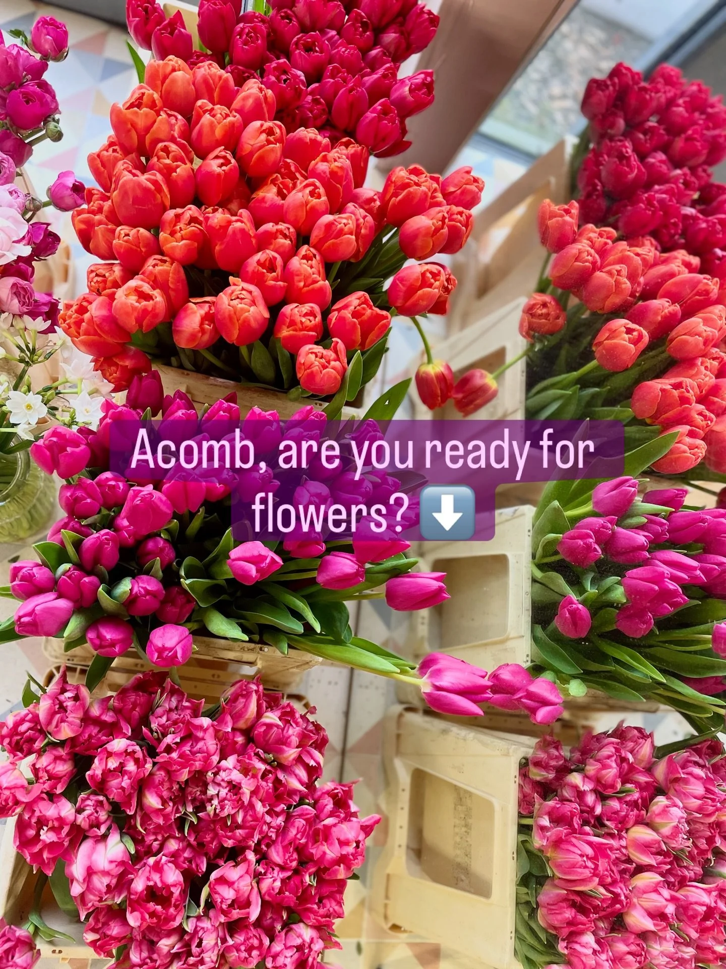 We&rsquo;re super excited to be back at Bluebird Bakery, Acomb next Saturday 2nd May. Building on the success of our Mother&rsquo;s Day &lsquo;clink and collect&rsquo;, we&rsquo;ve designed a flower bar! 

Select your flowers and we&rsquo;ll create y
