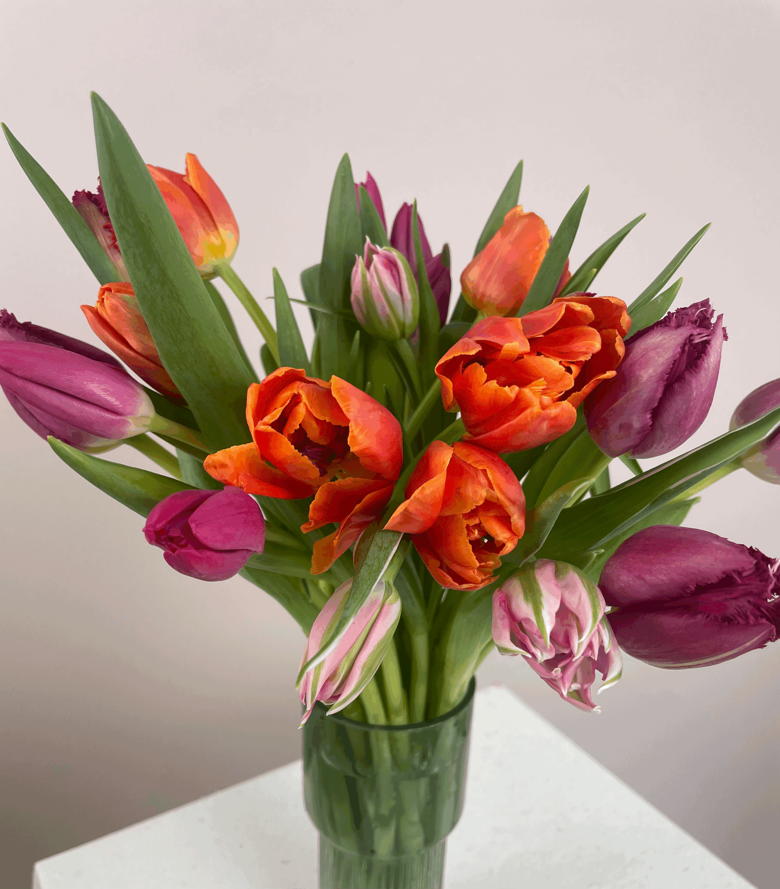 Gorgeous British grown bunch of Tulips delivered in York and surrounding areas