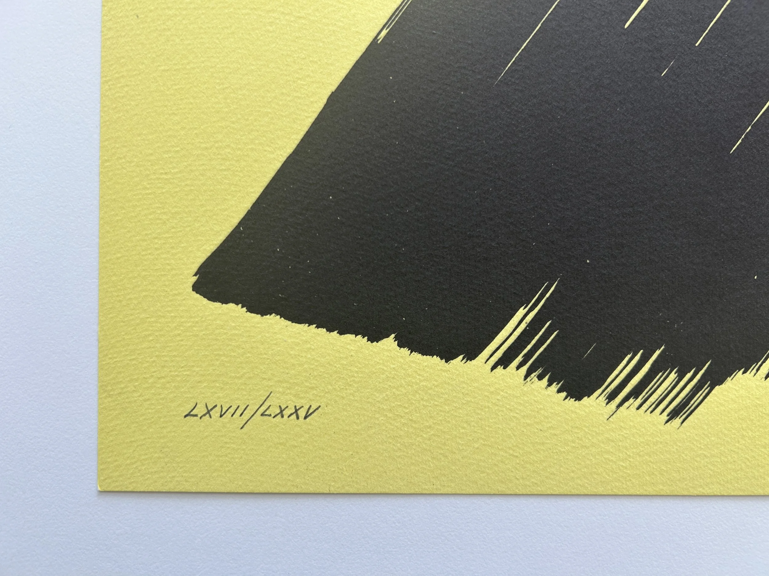 E23-12_lower left corner.JPG