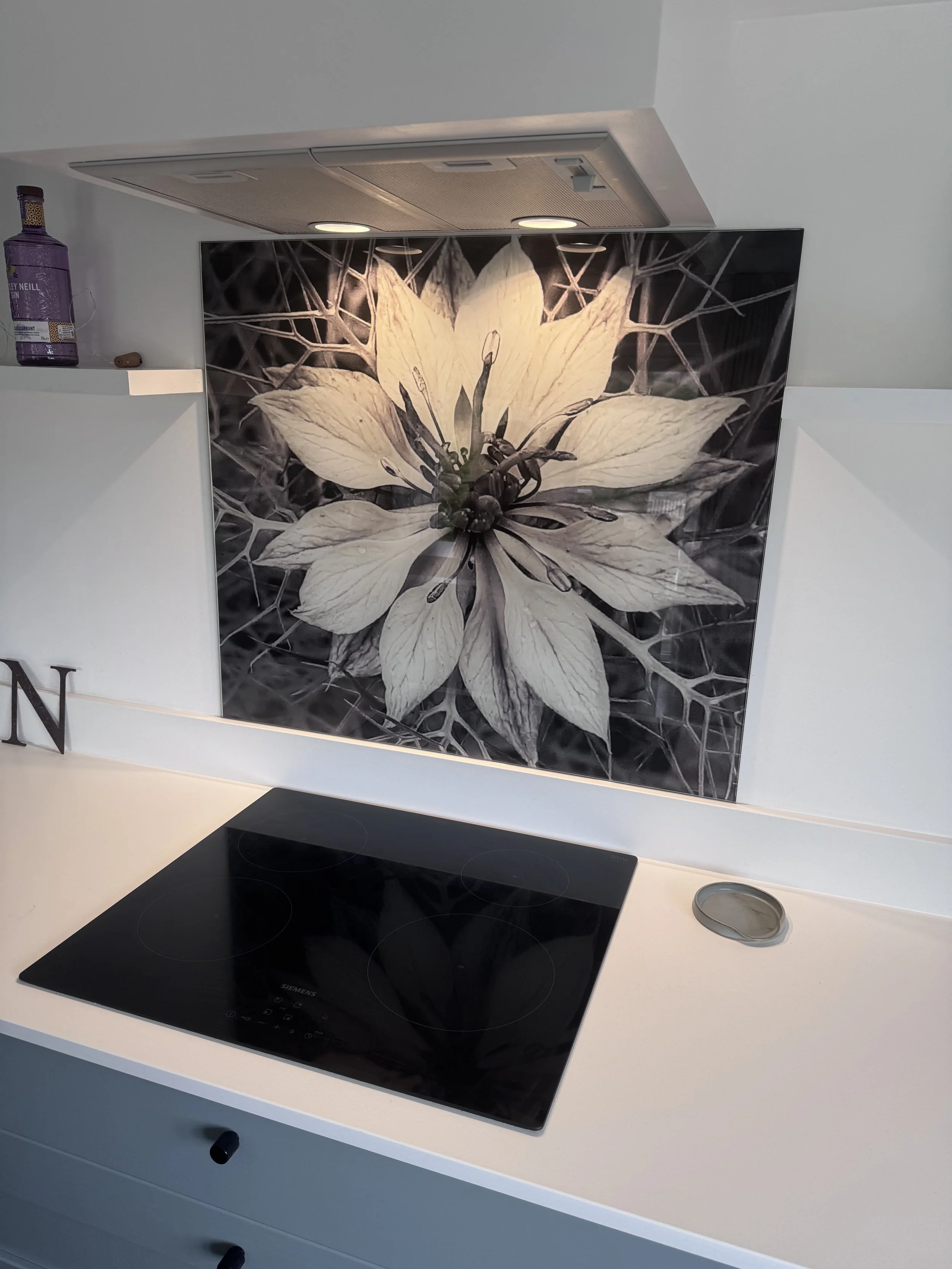 Pattern or Plain Colour Splashback