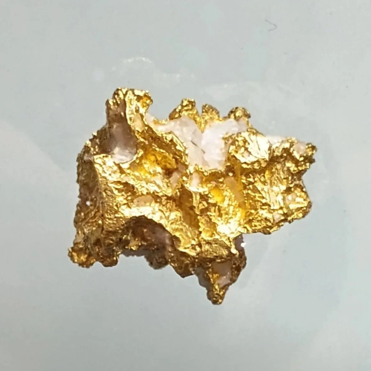 10 gram Nugget