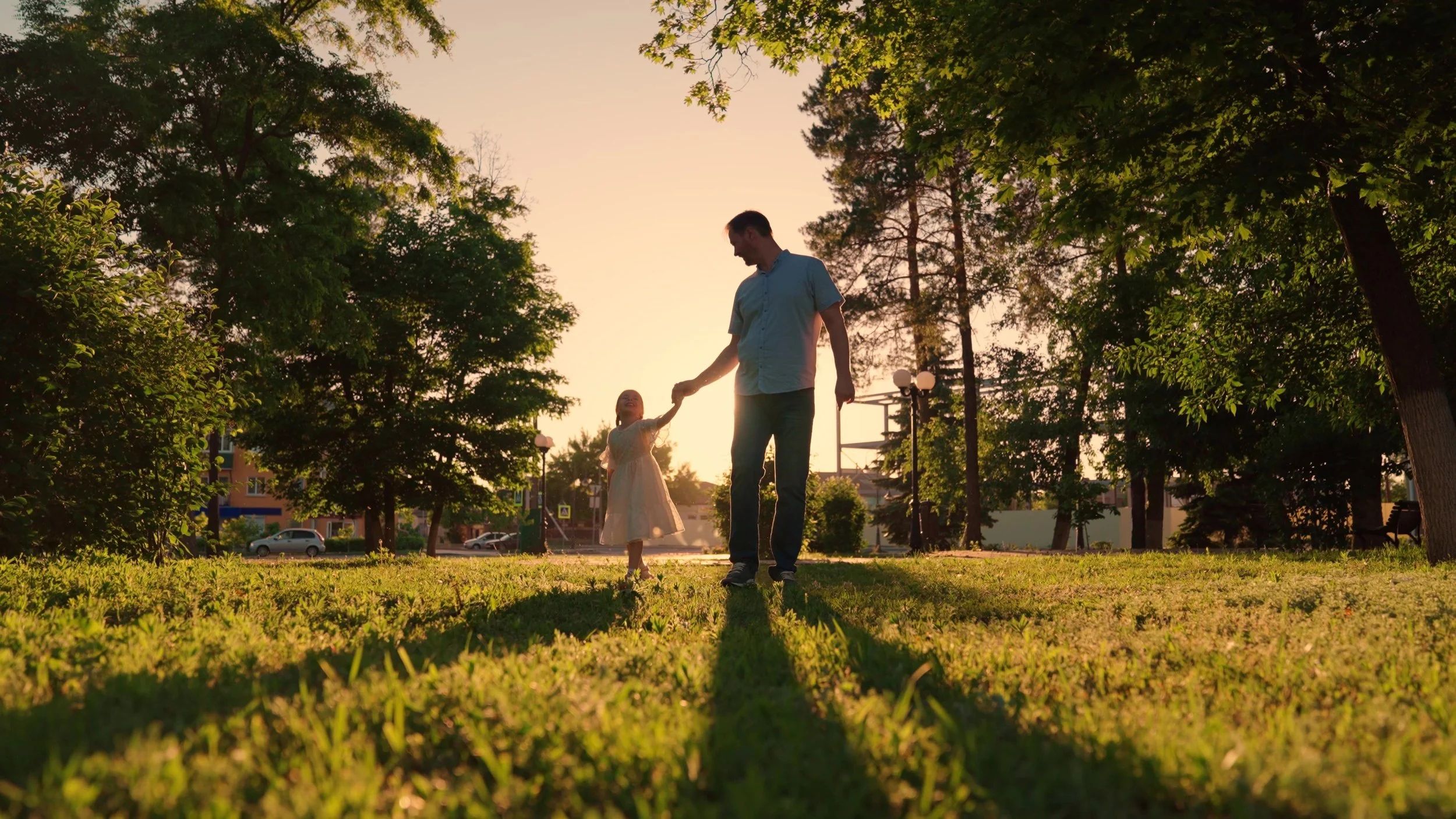 Estate Planning: The Basics