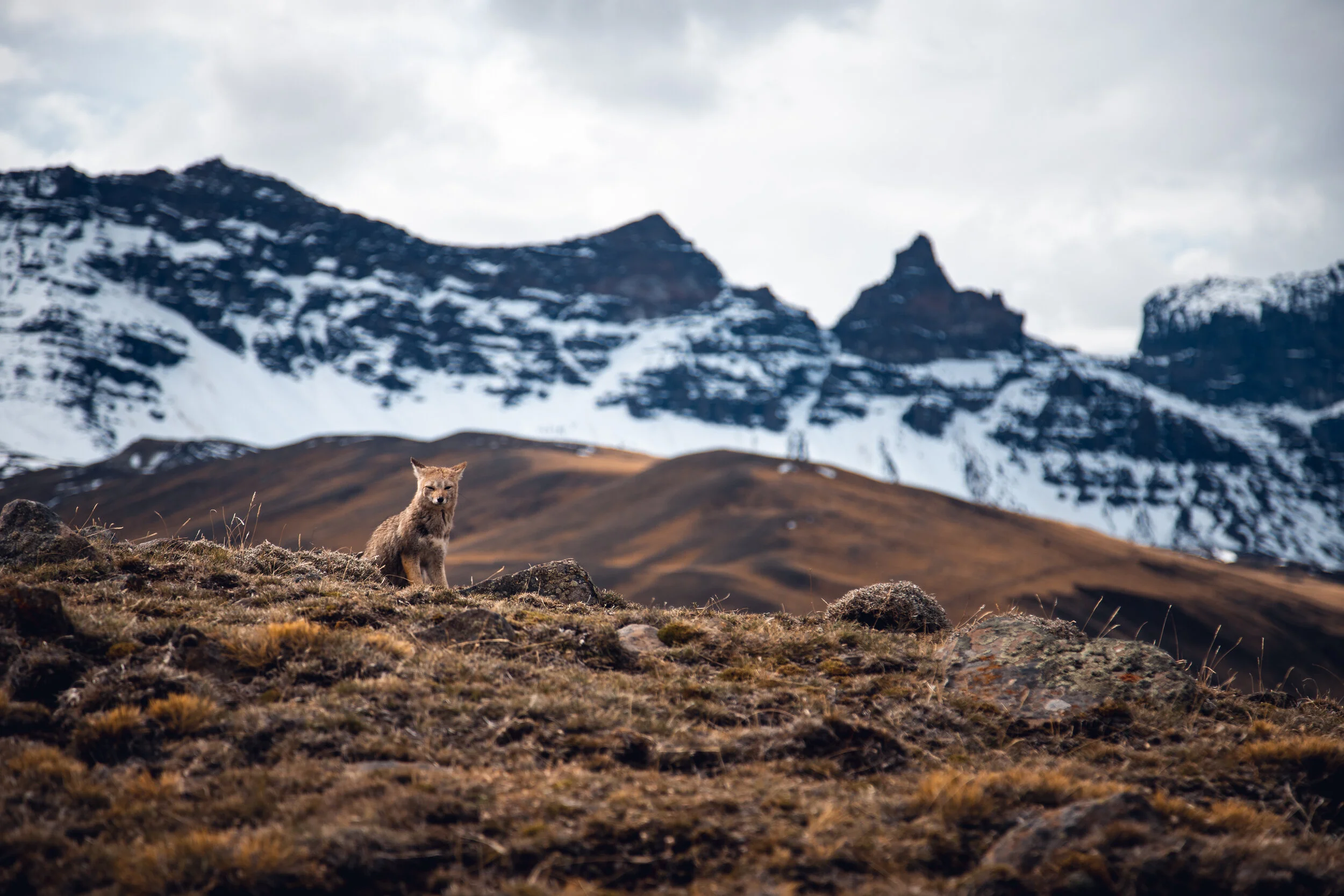 Patagonia_2018-36.jpg