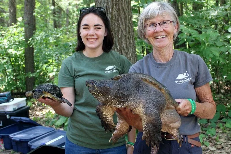 Two women outdoors in a wooded area, one holding a small turtle and the other holding a large turtle, smiling at the camera.