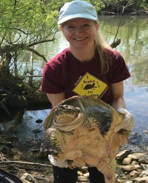 Smiling woman wearing a blue cap and a maroon T-shirt holding a large turtle near a riverbank.