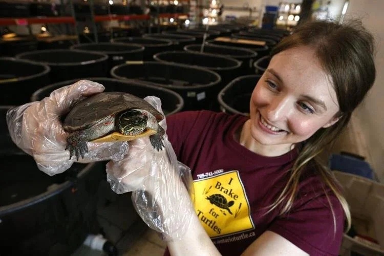 A woman wearing gloves holding a turtle with a fish-like body and a turtle shell, smiling in an indoor setting with large round containers in the background.