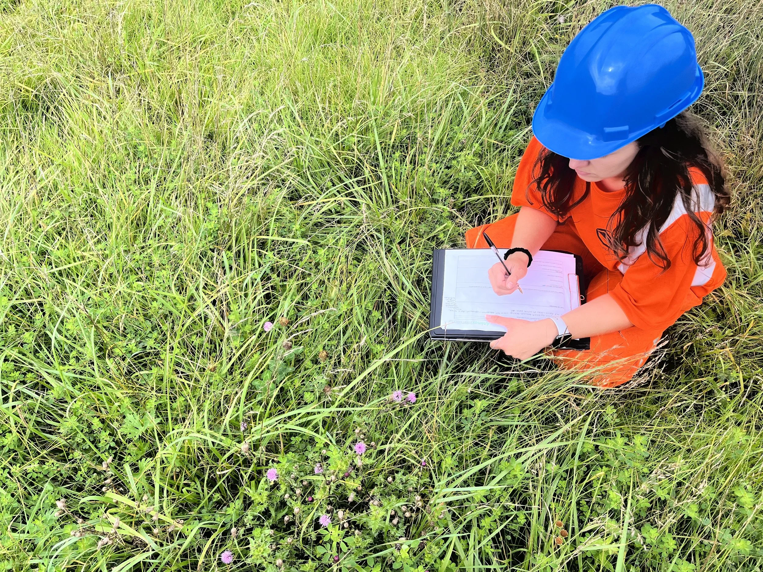 A woman in an orange safety vest and blue helmet crouches in tall green grass, filling out a clipboard with a pen.