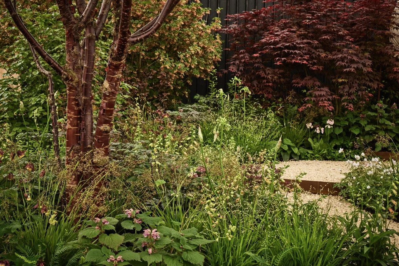 Carey Garden Design_T1_8990 Large.jpeg