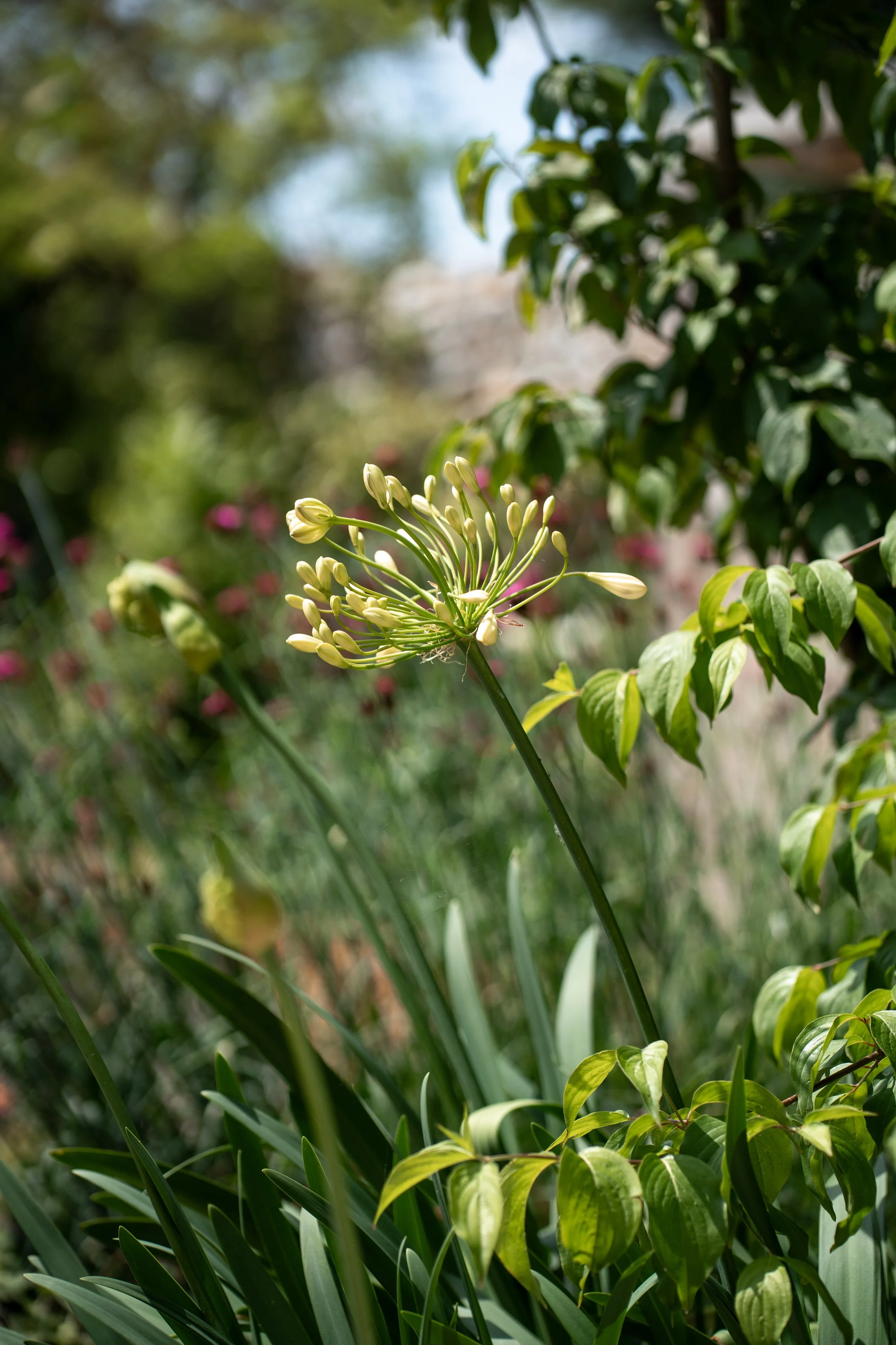 CGDS_Summer 2025_WEB-026.jpg