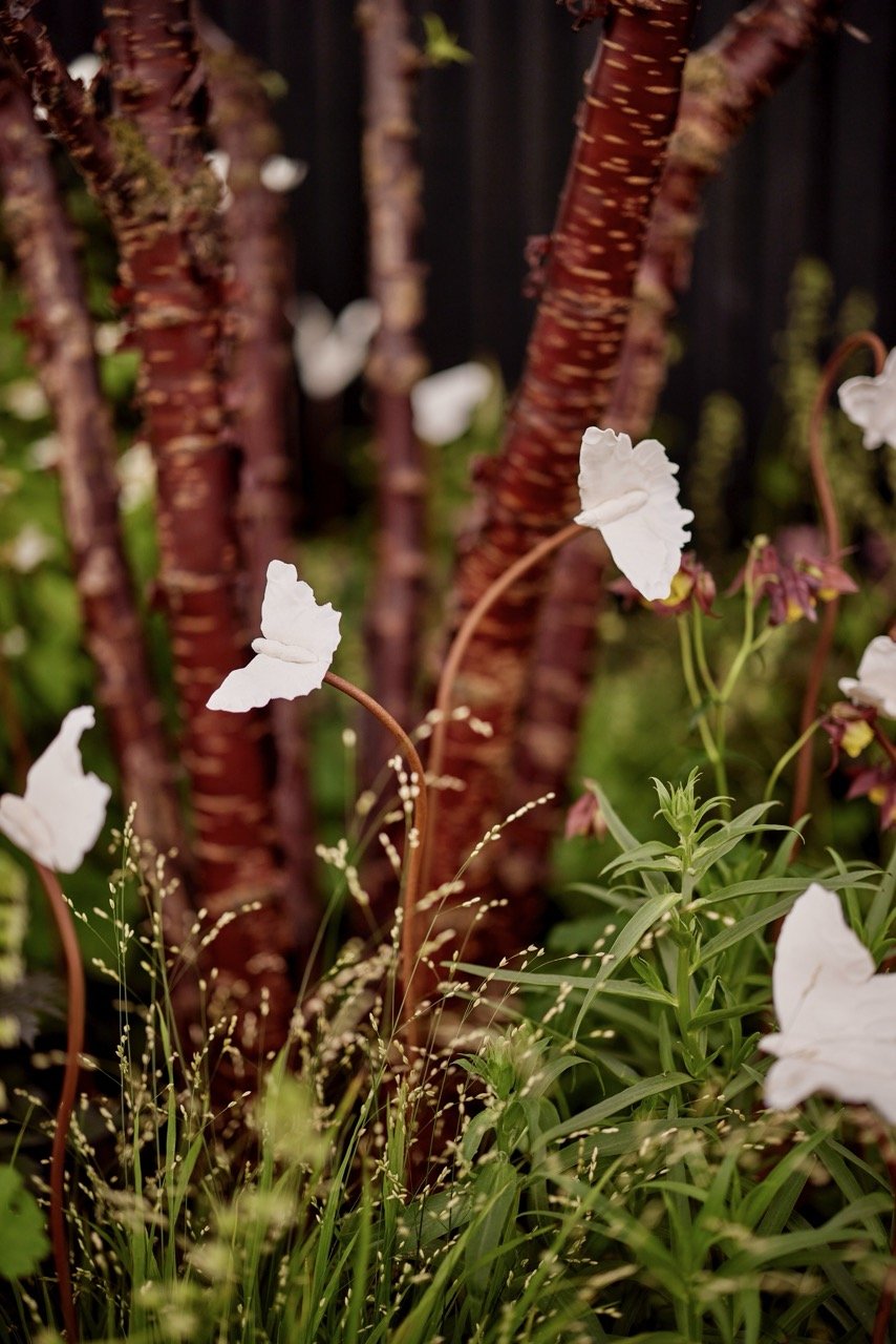 Carey Garden Design_T2_8884 Large.jpeg