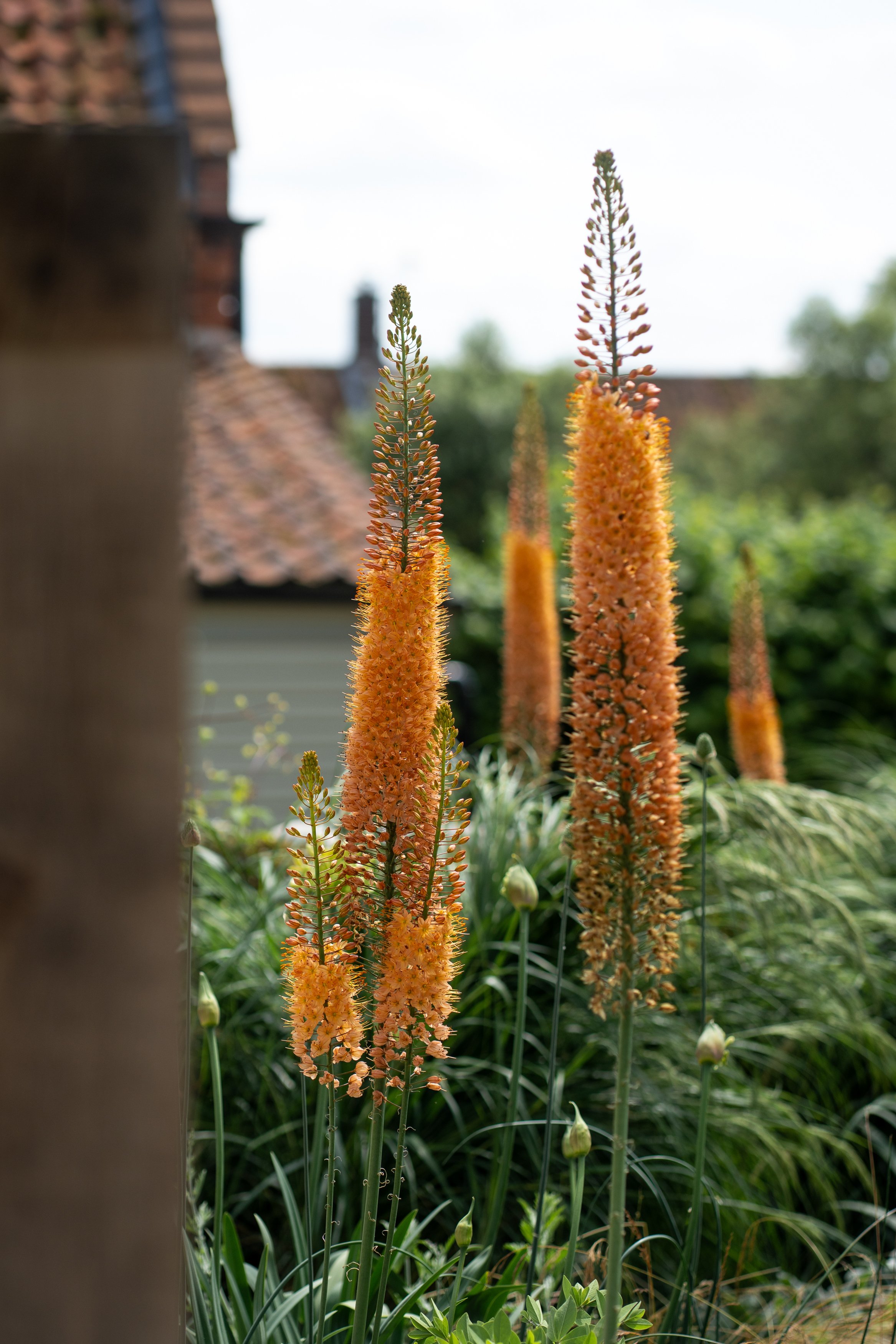 CGDS_Summer 2025_WEB-011.jpg