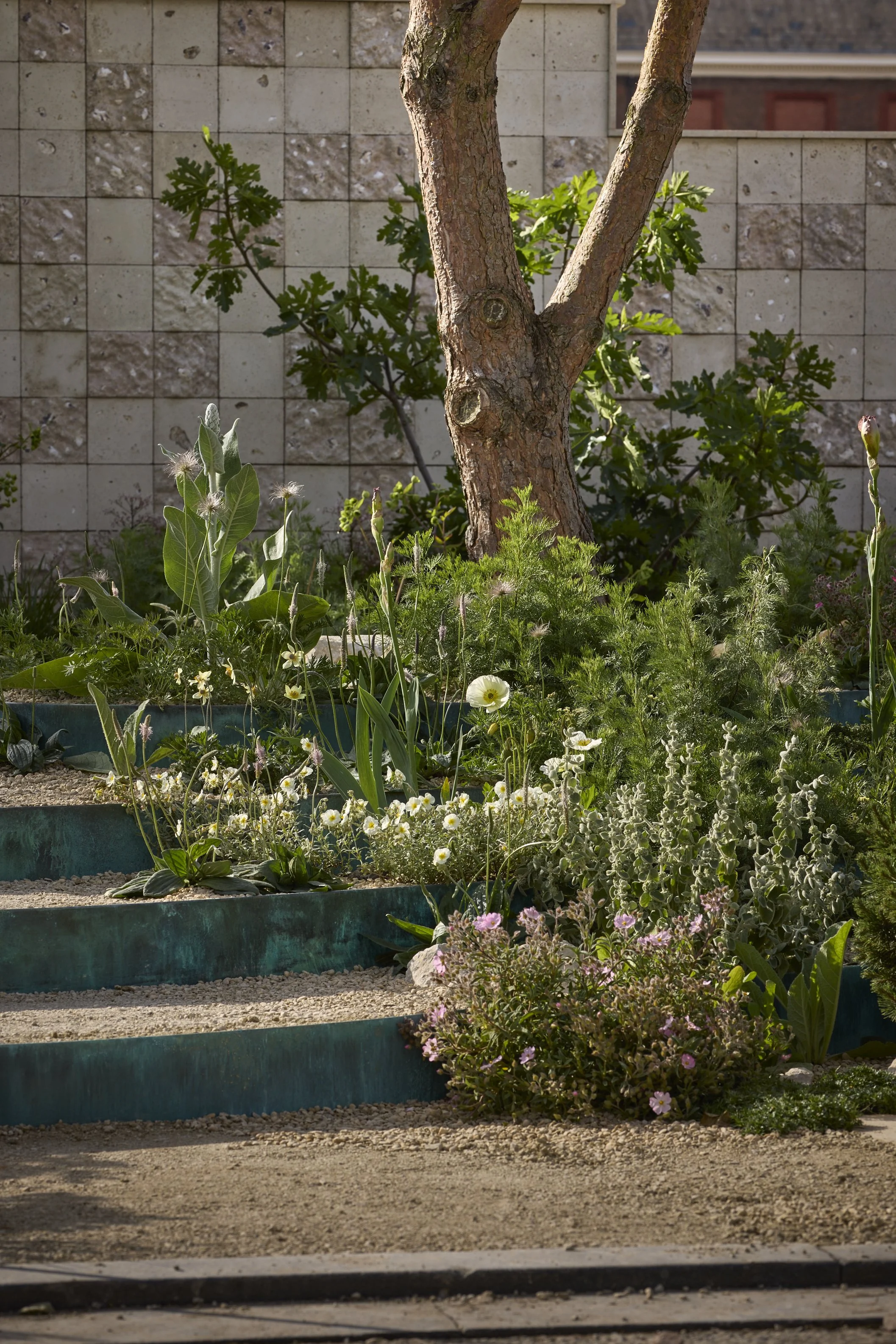 Carey-Flourish-in-the-city_T2_5391.jpg