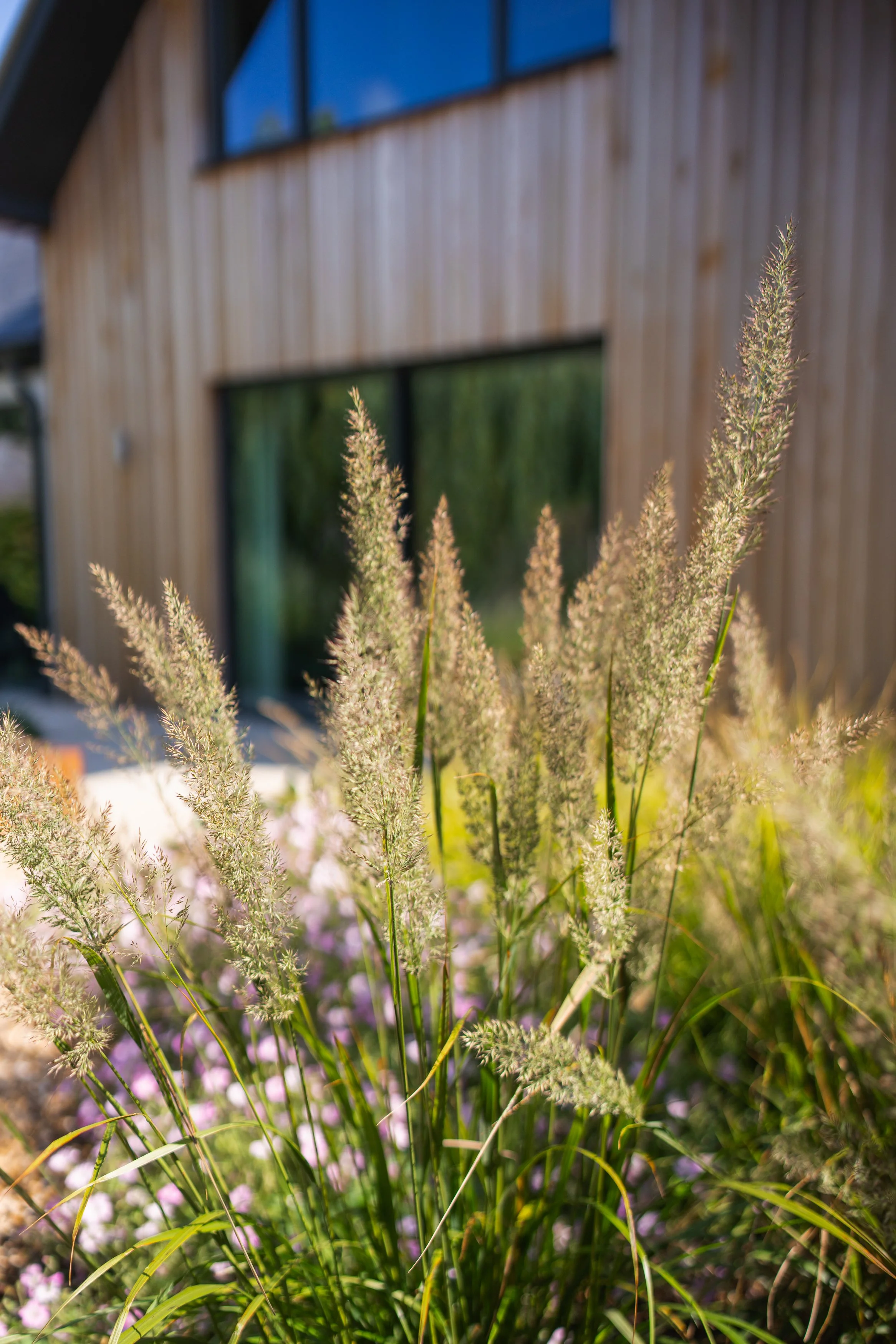 CGDS_Autumn 2025_WEB-132.jpg