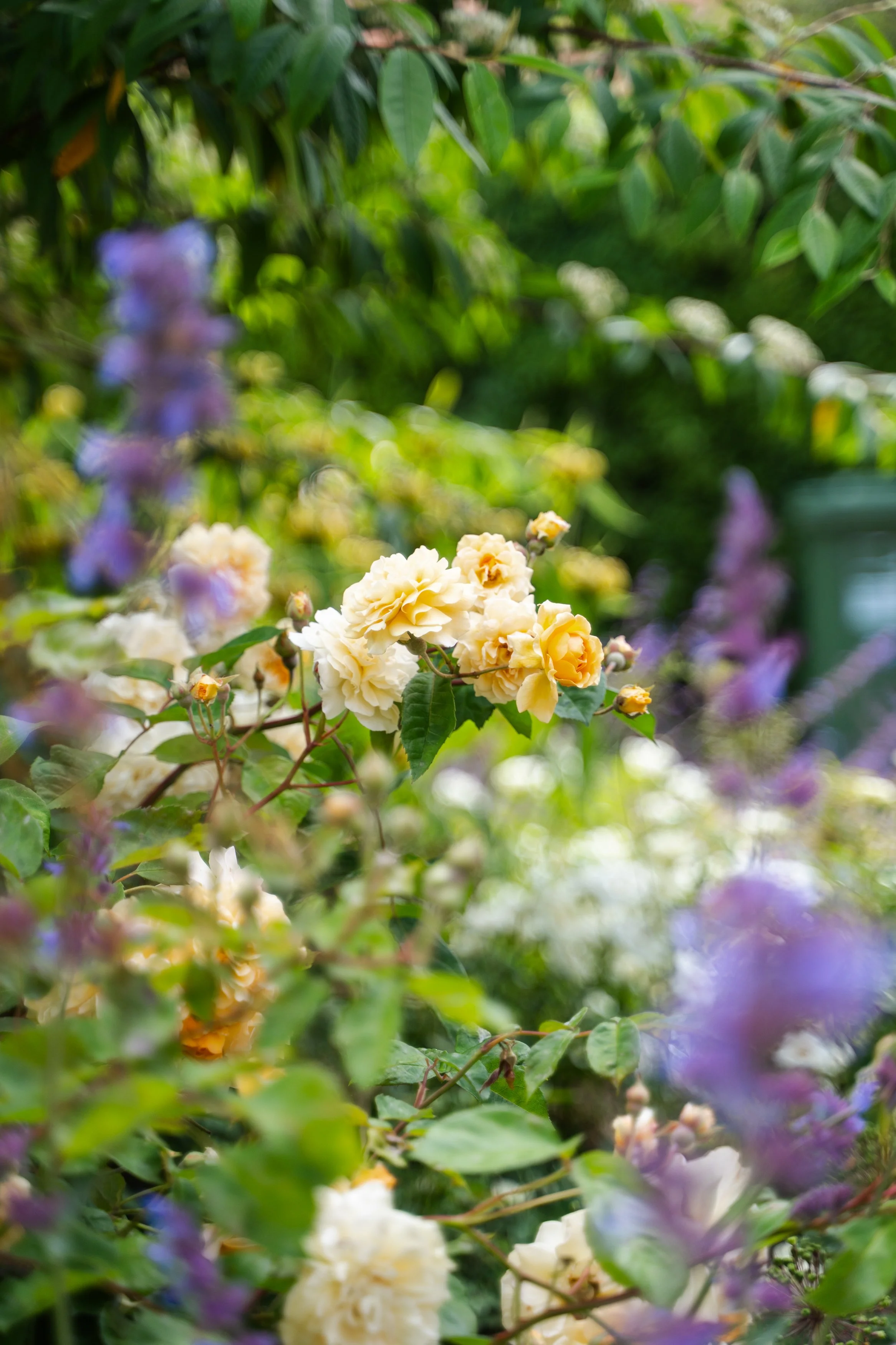 CGDS_Summer 2025_WEB-148.jpg