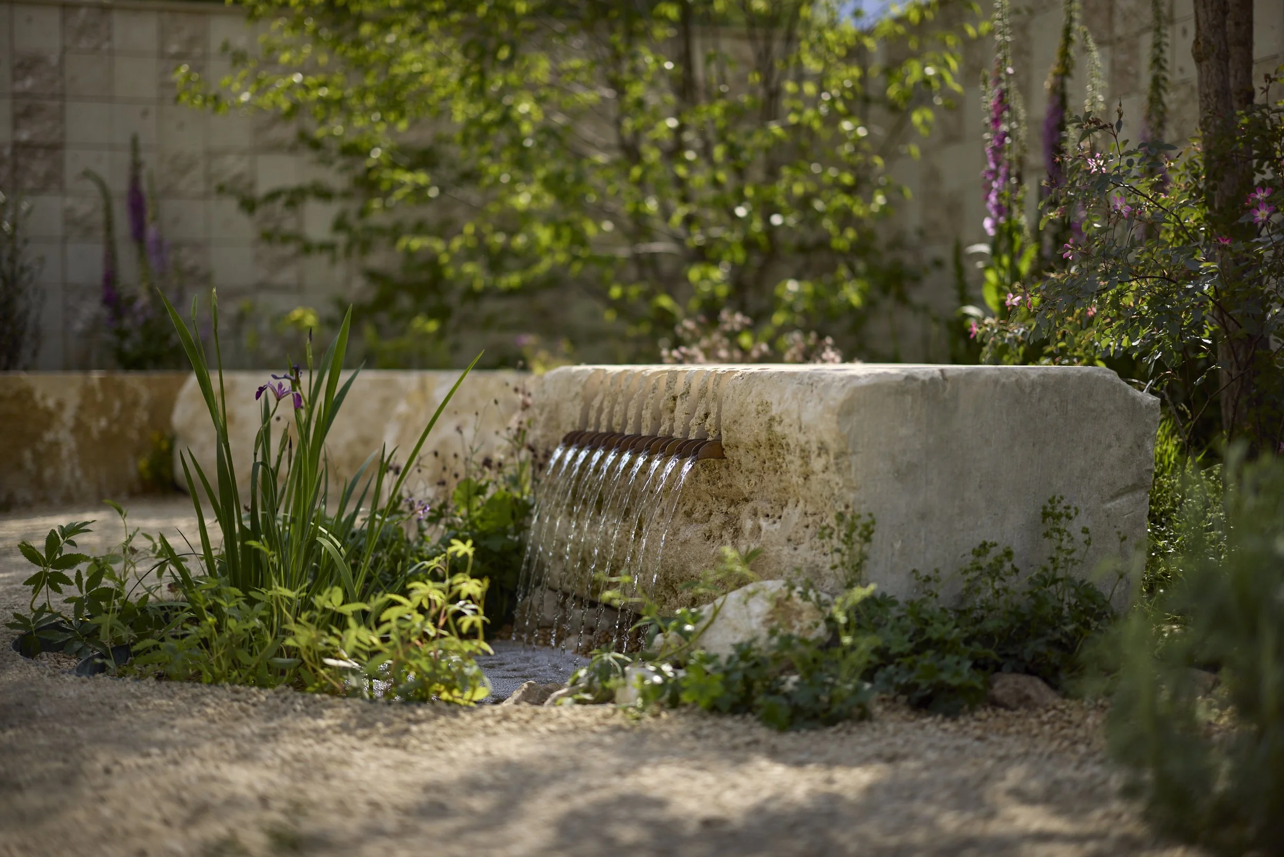 RHS Small Garden of the Year 2026