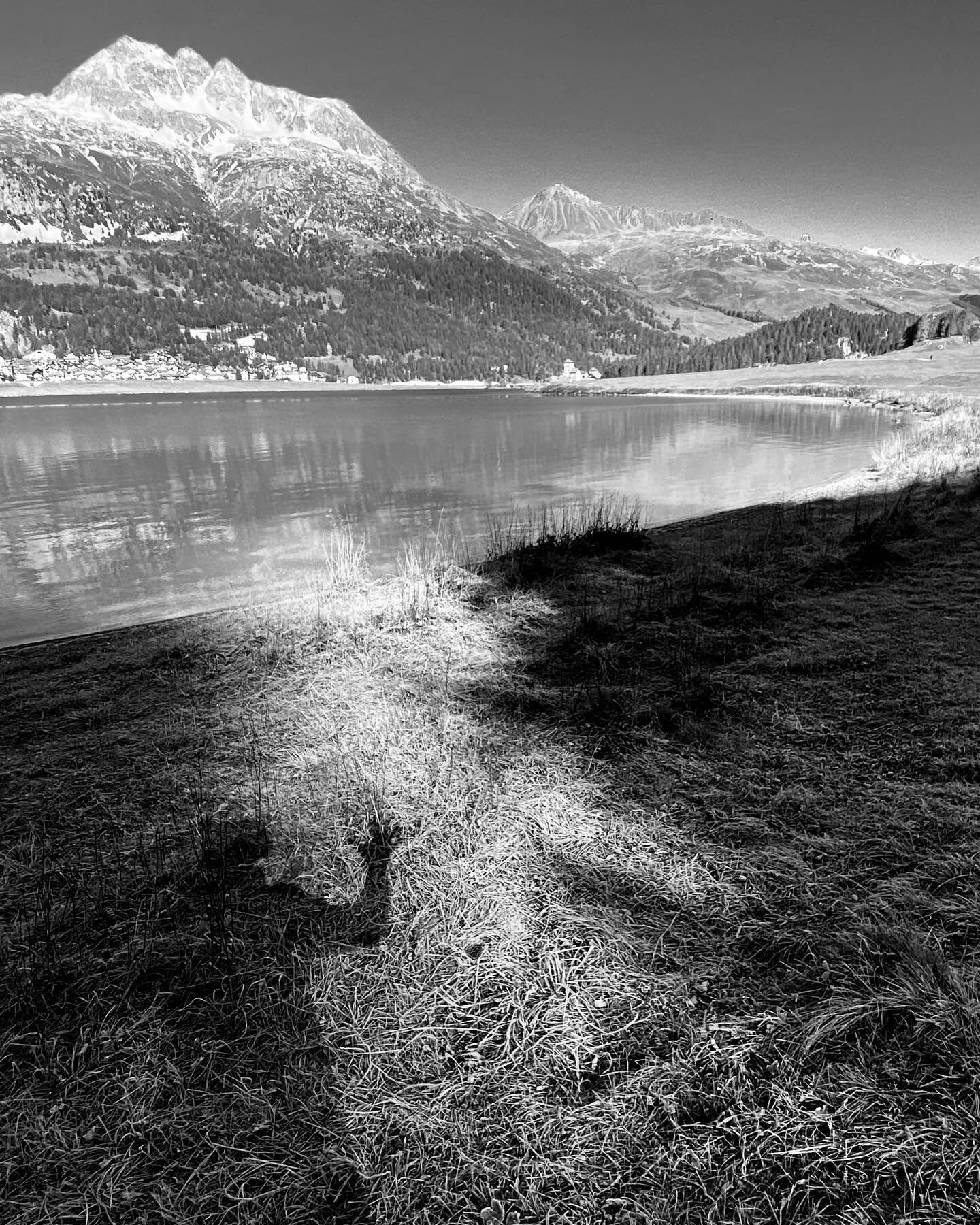 Running with my Ghosts 

#morningrun #myghosts #shadowplay #lightplay #firn #silvaplana #engadin #pizjulier #piznair #switzerland #tombauerphotography #createurimages