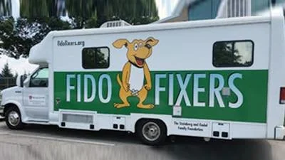 Fido Senior