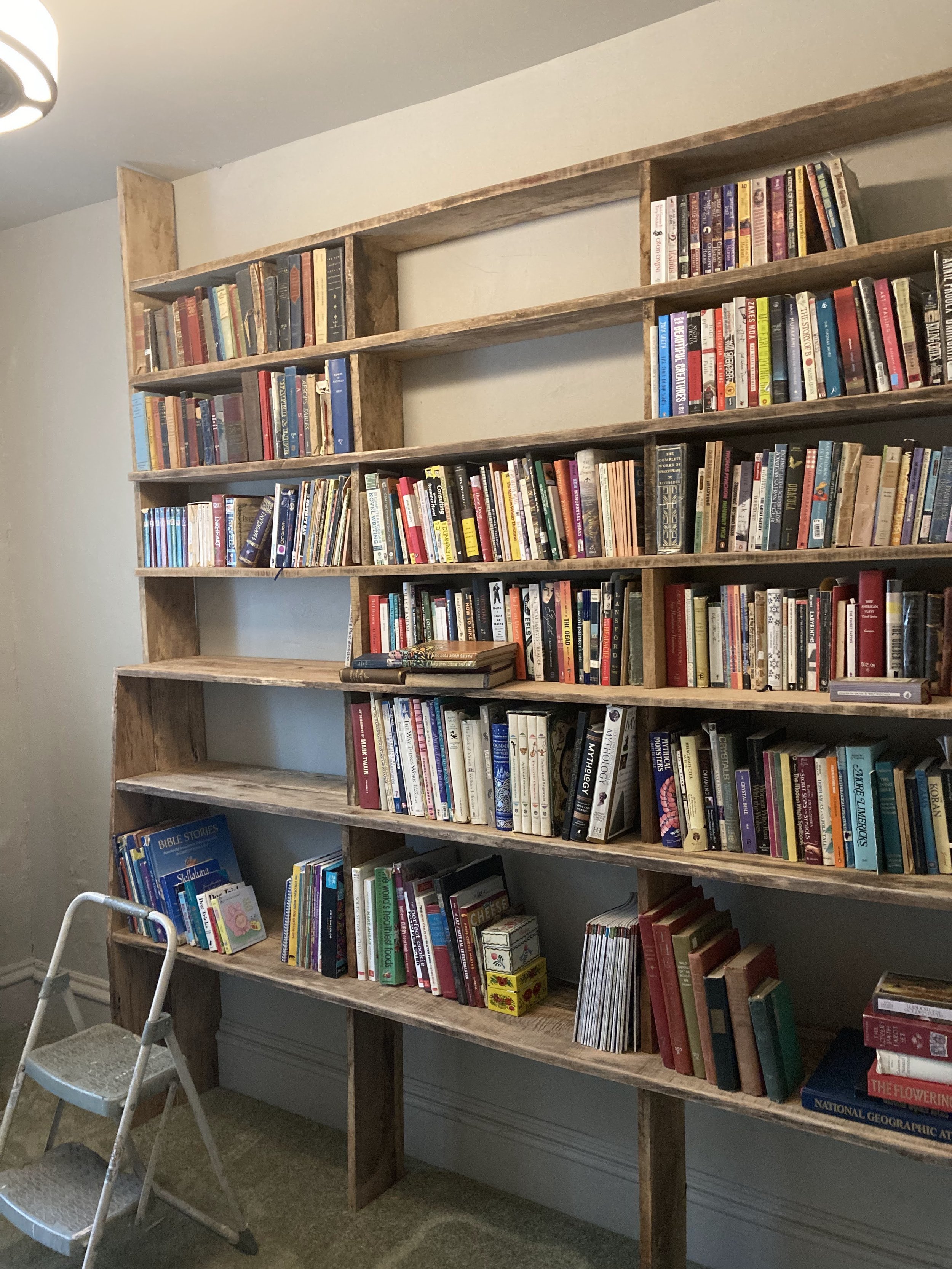 bookshelf with books.jpg