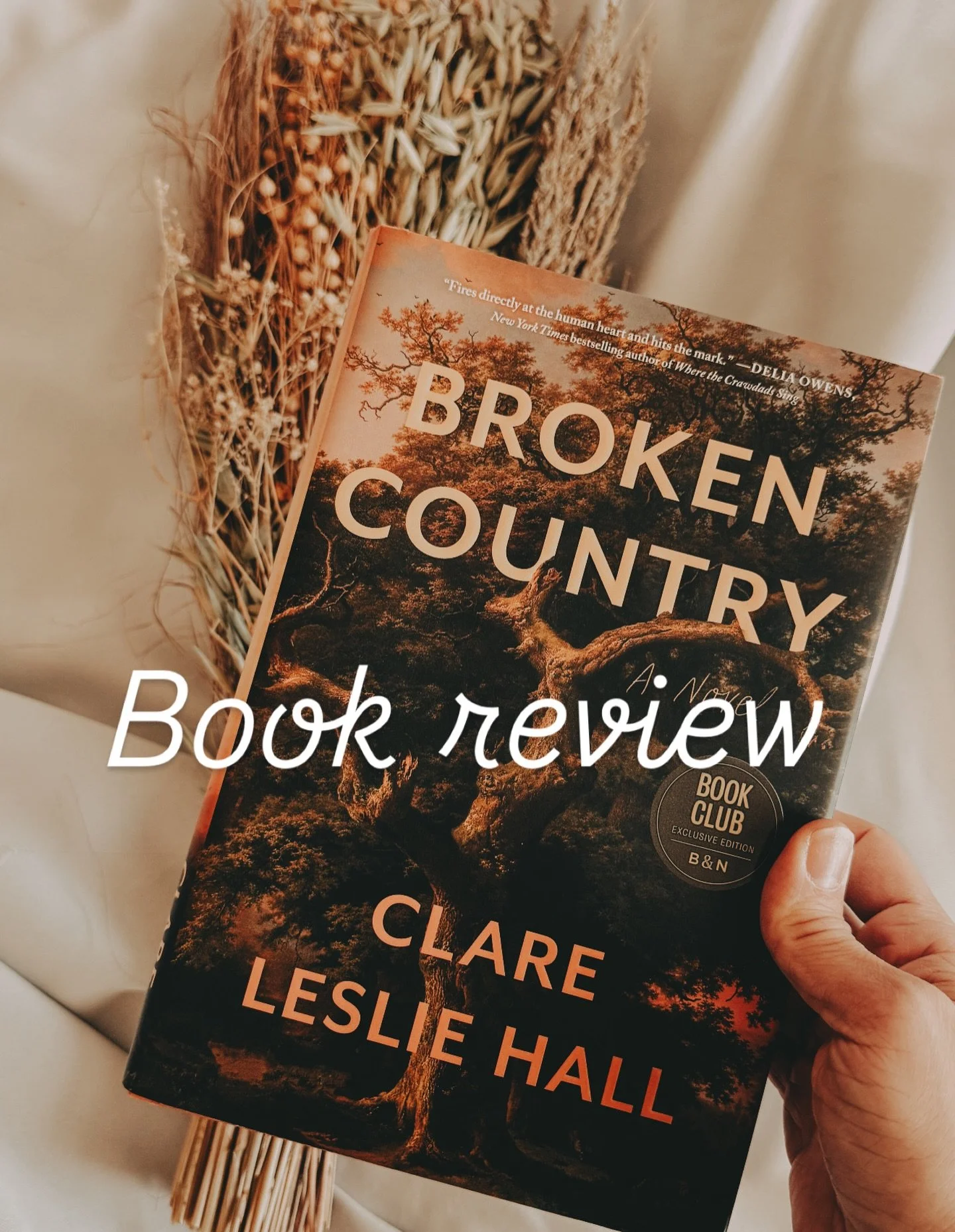 Broken Country by Clare Leslie Hall
4.5⭐️/5

(BUCKLE UP THIS ONE&rsquo;S LONG)

This book is like The Midnight Library for people with depression and listen to Noah Kahan before 9AM.

I love a story that hurts my feelings, is that so wrong? Maybe. Bu