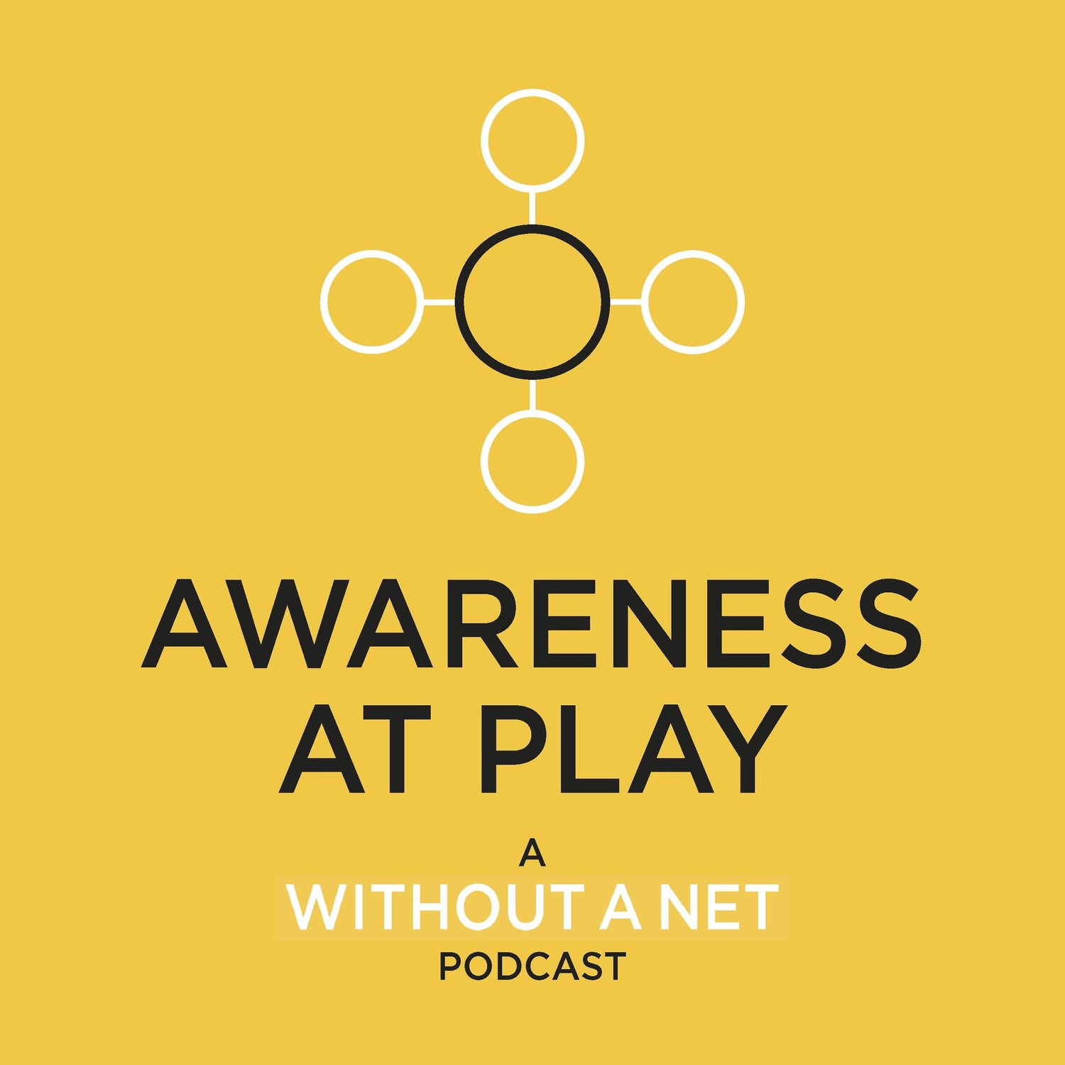 Awareness at Play