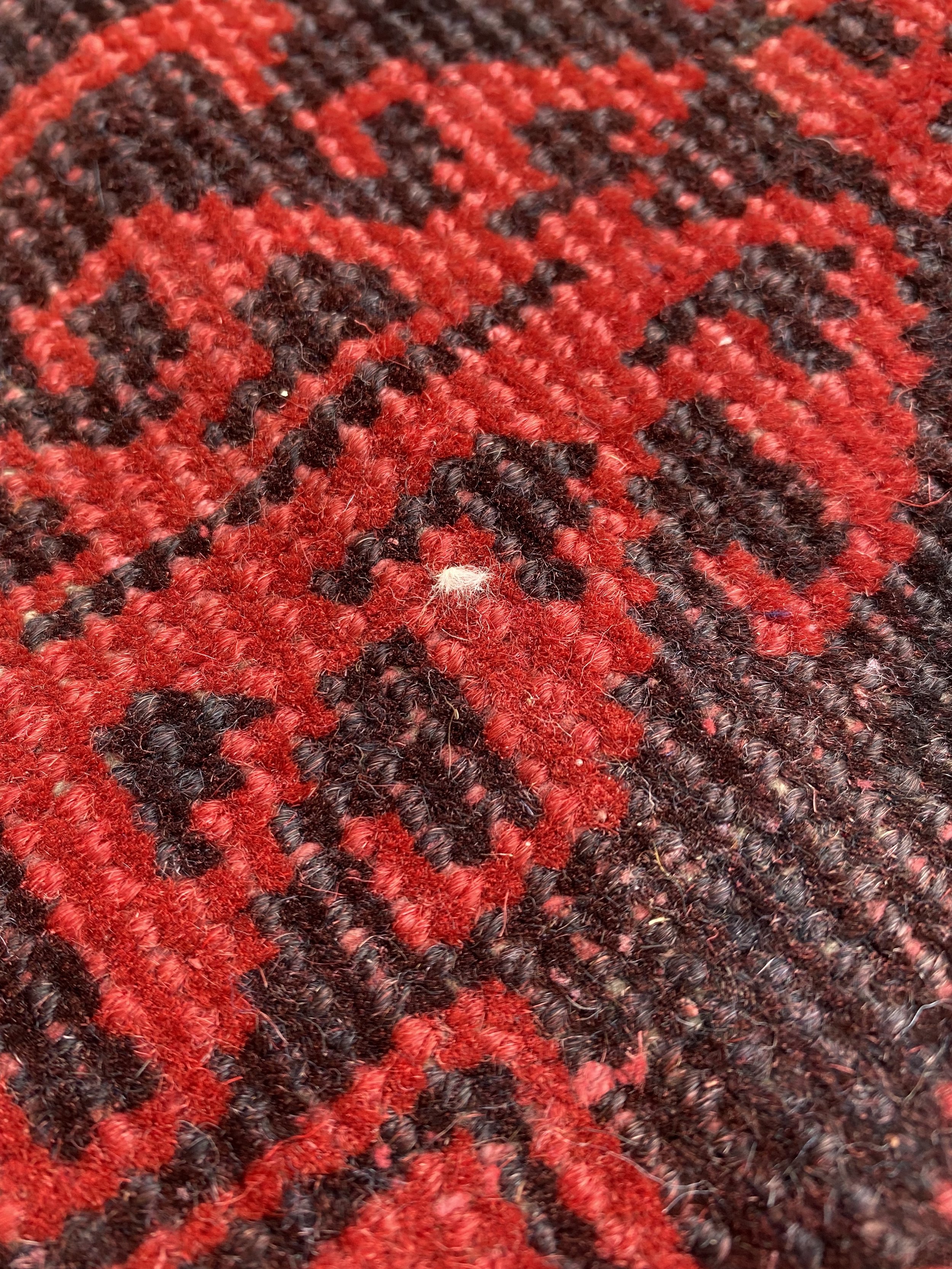 IMG_0491.jpeg