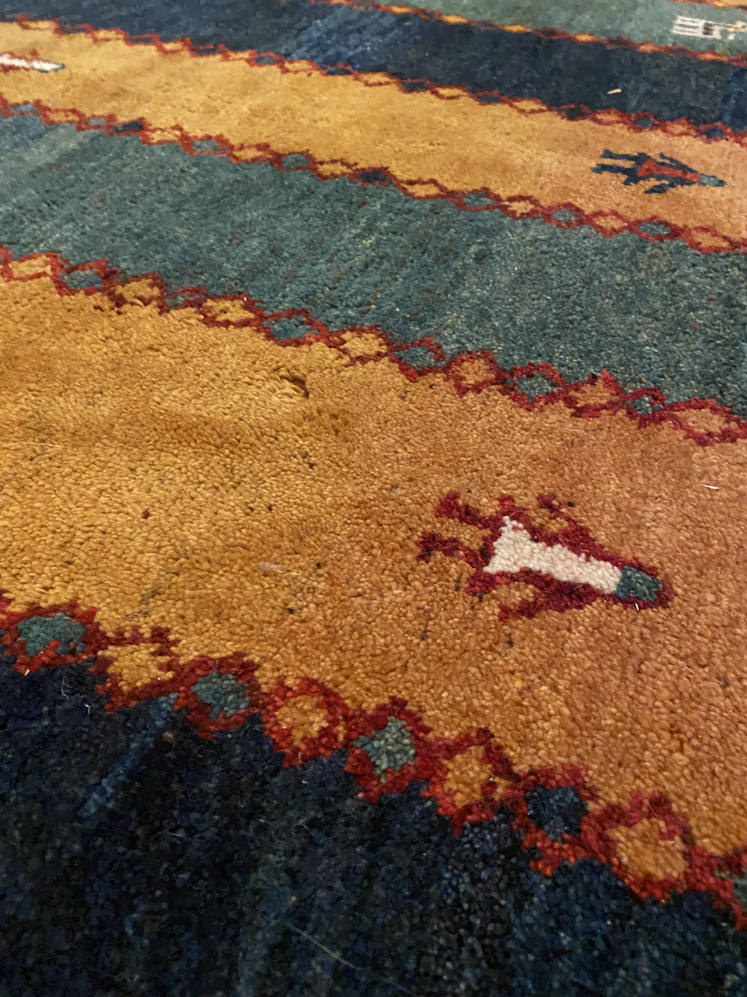IMG_2904.jpeg