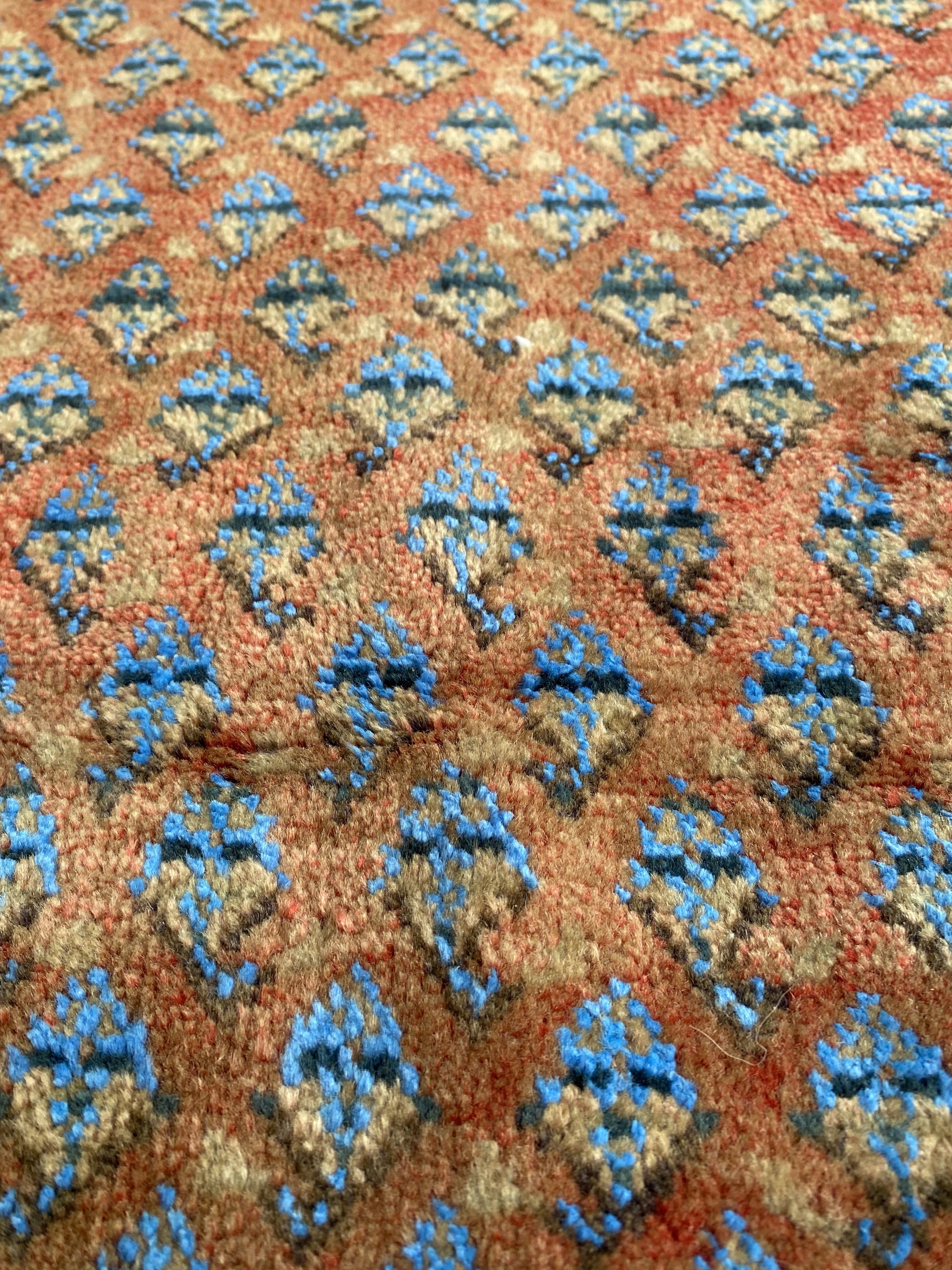 IMG_4005.jpeg