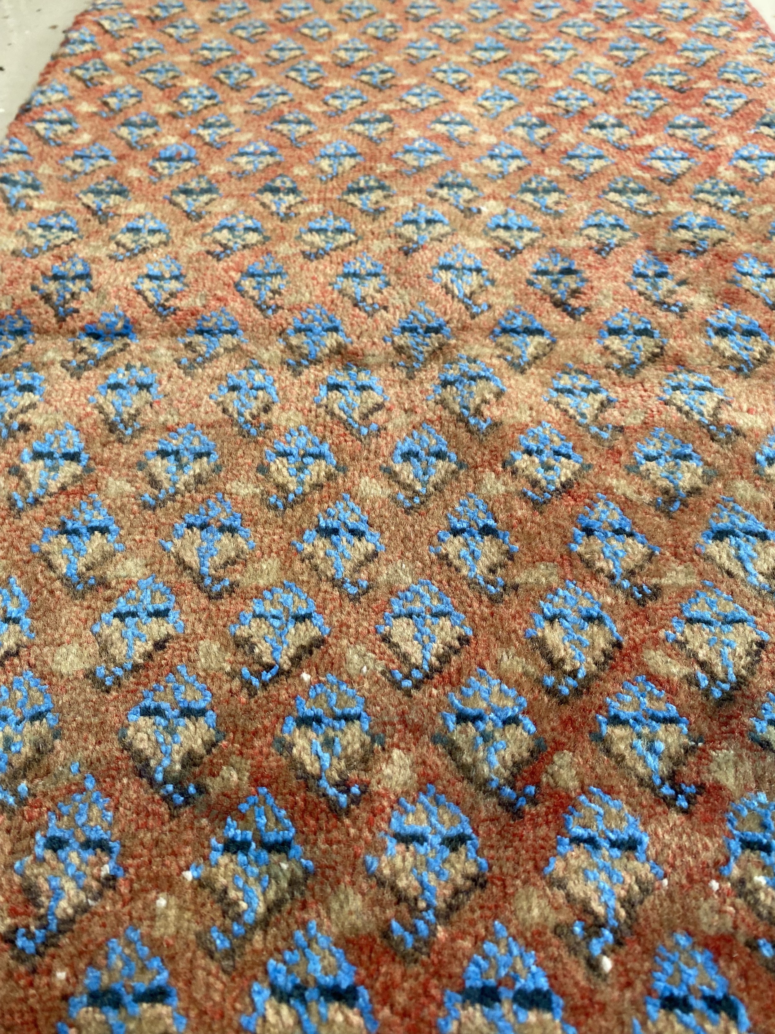 IMG_4002.jpeg