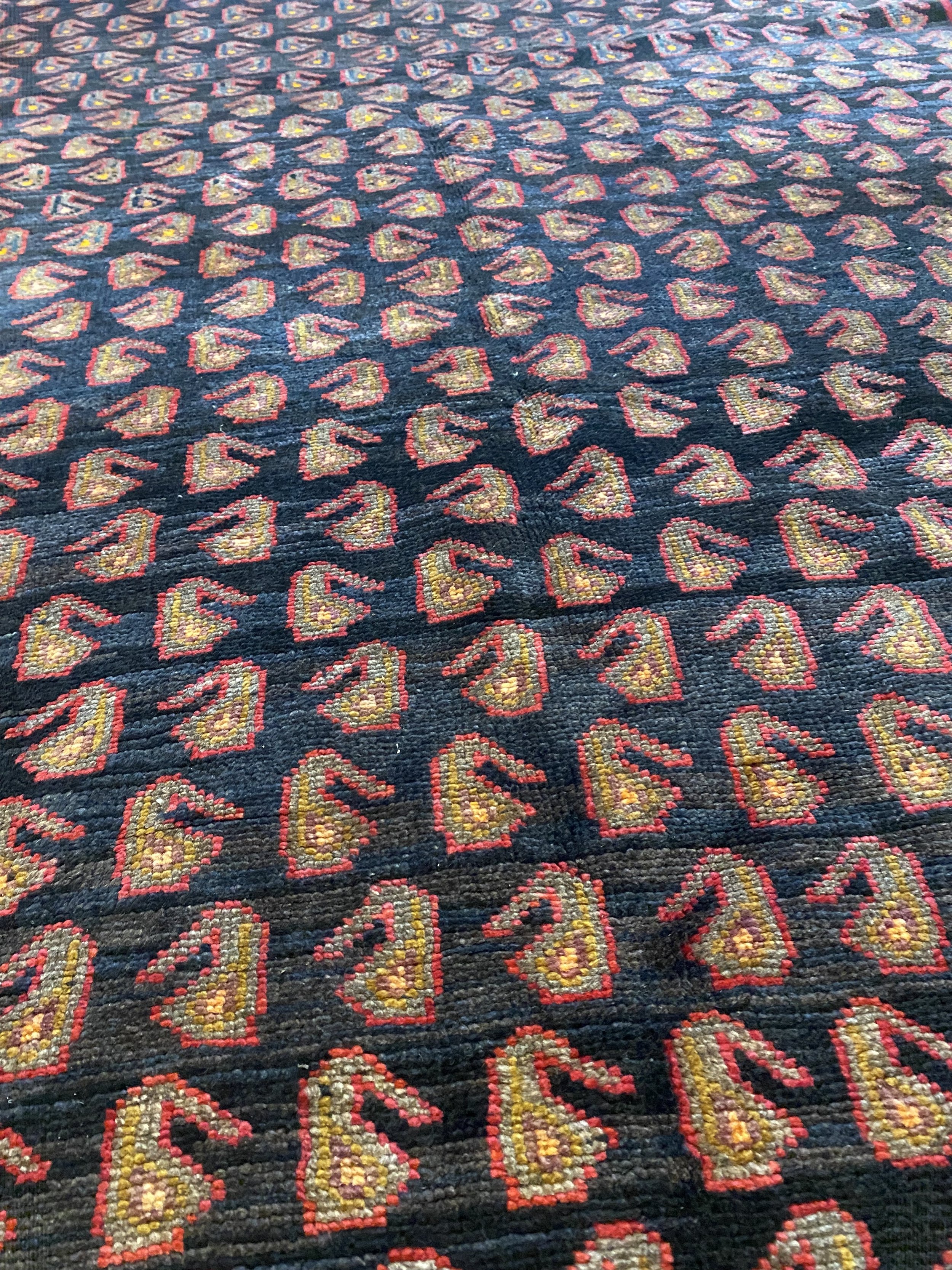 IMG_4265.jpeg