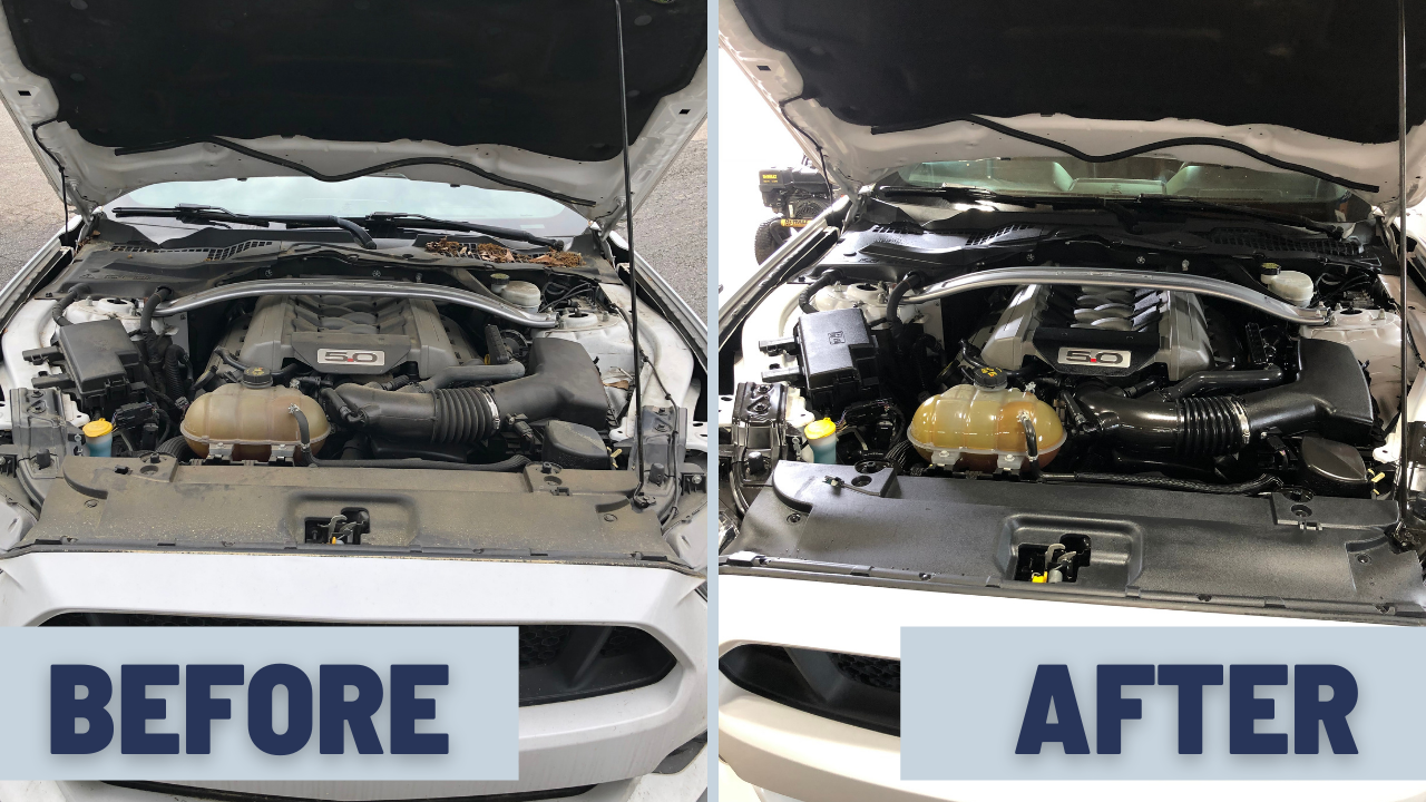 Before and after scratch removal -2.png