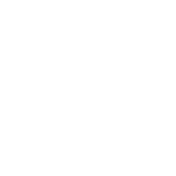 Lisa Deegan Wellness