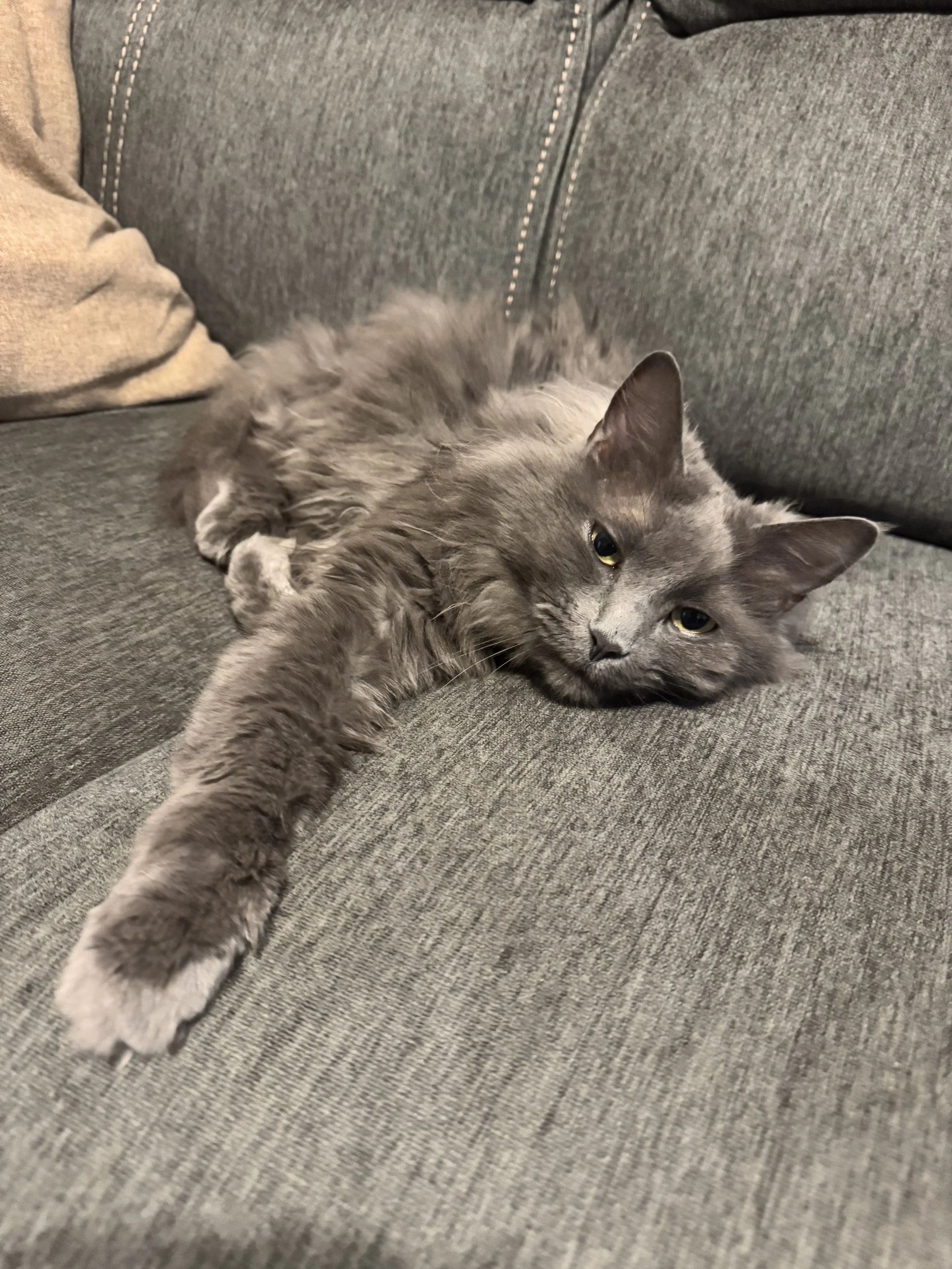 IMG_4661.jpeg