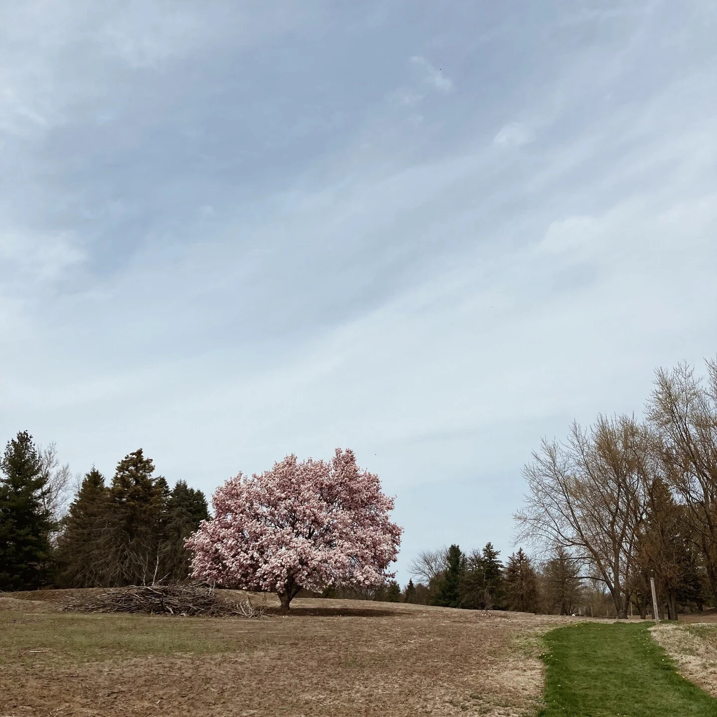 Growth. That is what I am thankful for today. 

Growth of the body, the mind, the spirit.

The hope of springs coming and the sun shining is what has been keeping me going this month. 

What has been grounding you this month?