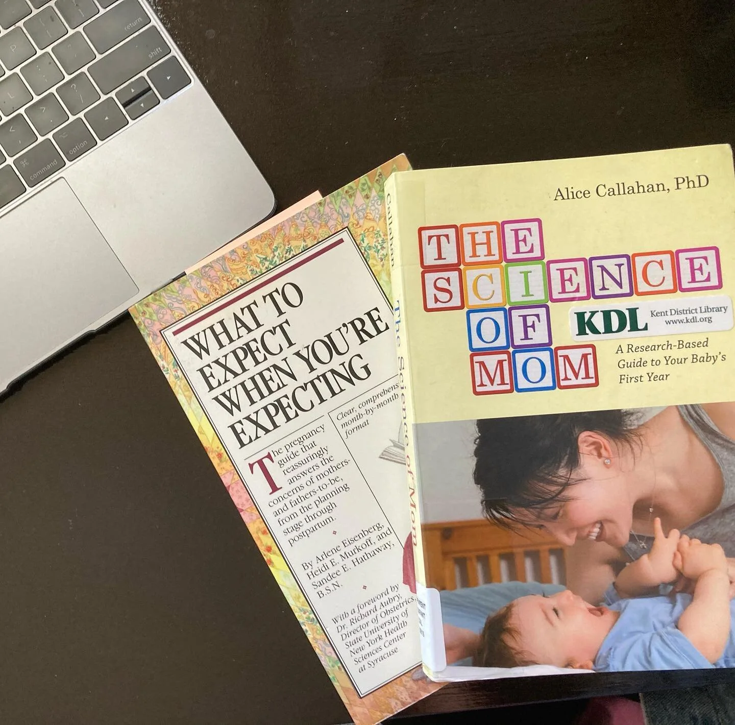 a classic and a new fav.

anyone got any favorite birth books out there??