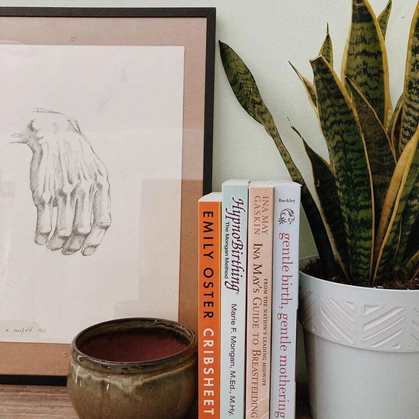 finally getting out of the chemo brain fog and feeling like I can jump into some informational reads again! That means more birth books! I've been slowly getting through these books gifted to me last Christmas. ALSO just found out that I can request 