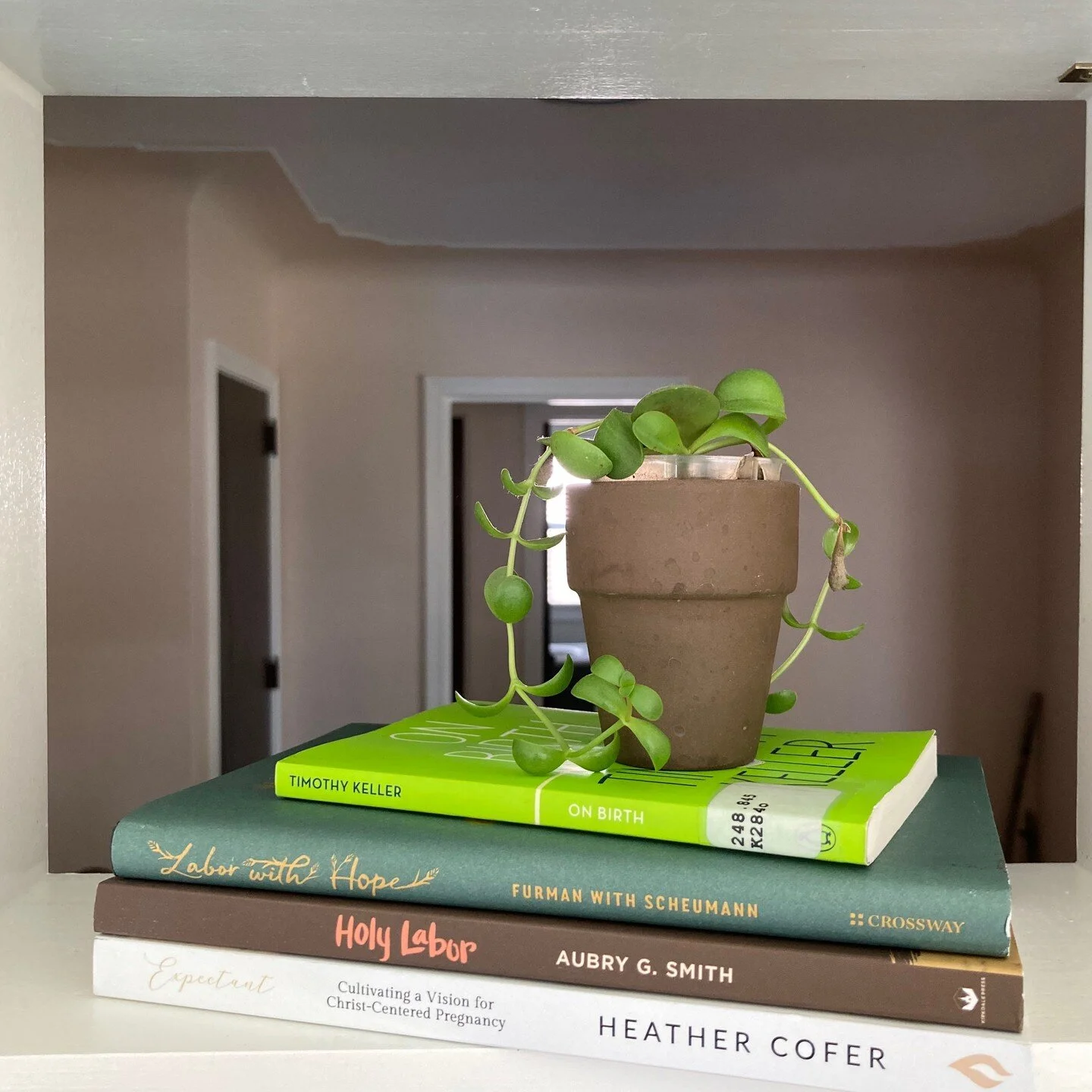 Glad to be home after 6 weeks of travel and dive into some more birth books!! 

What birth books have been the most helpful to you?