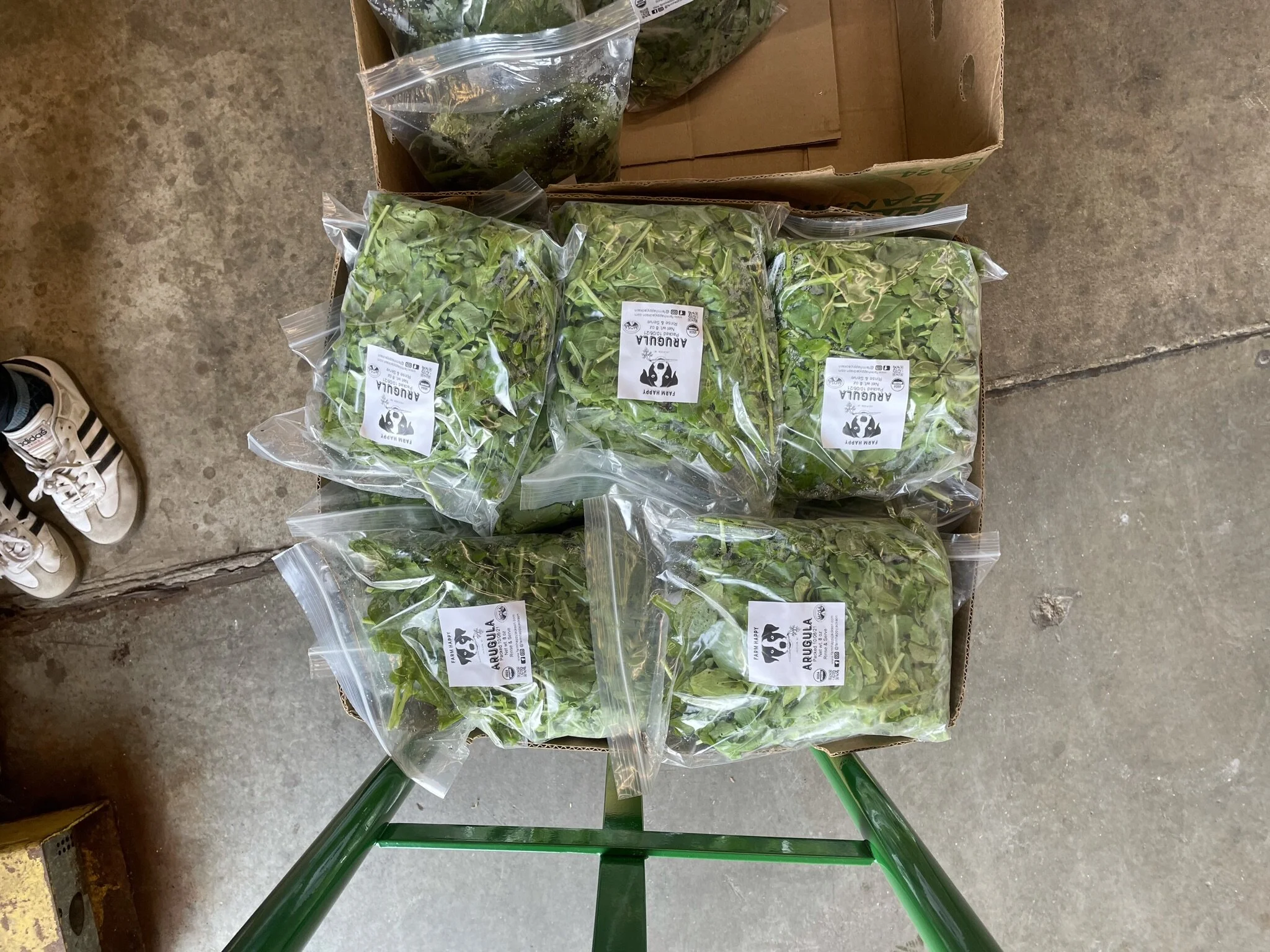 Full Shelf Food Pantry