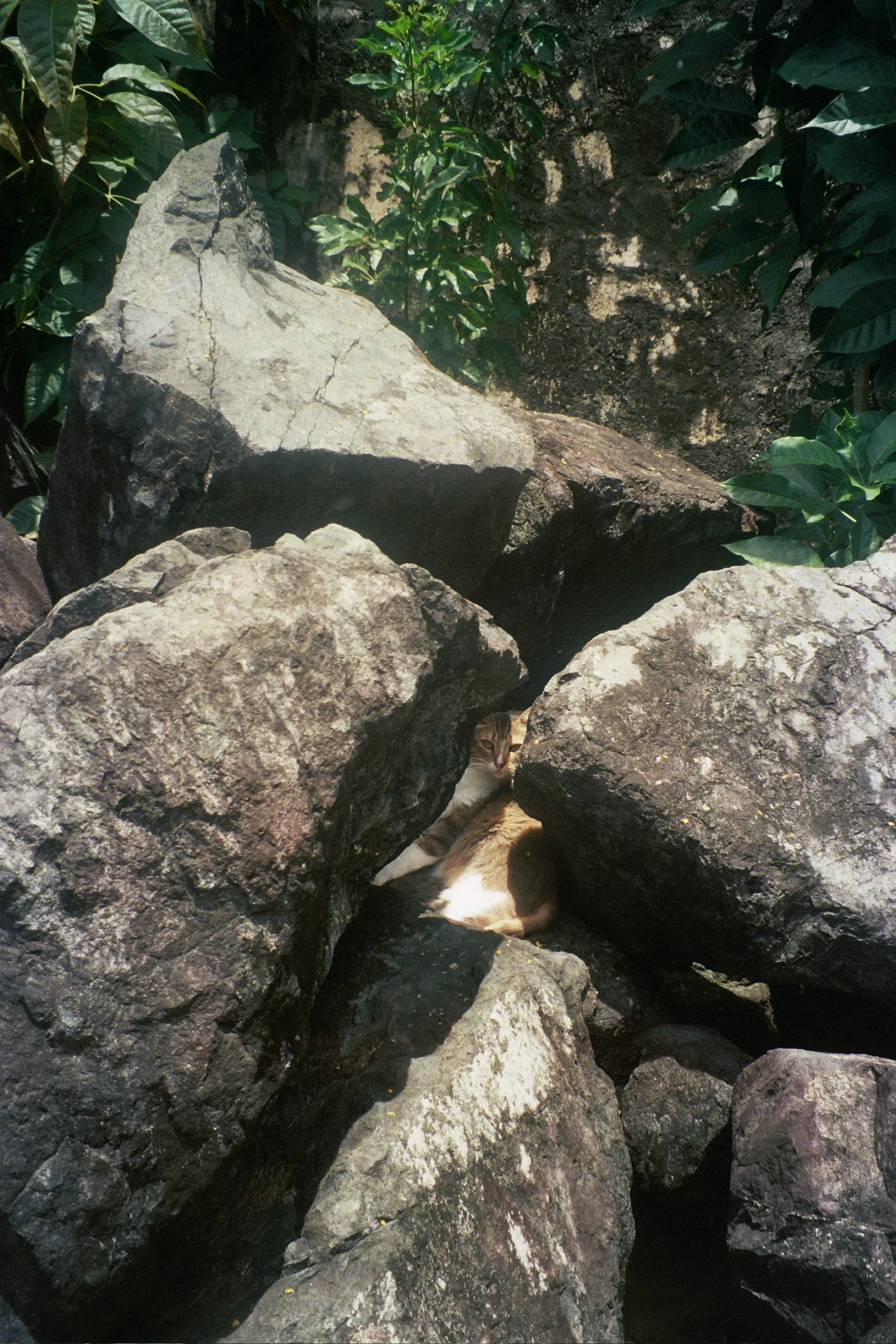 34A_0642.jpg