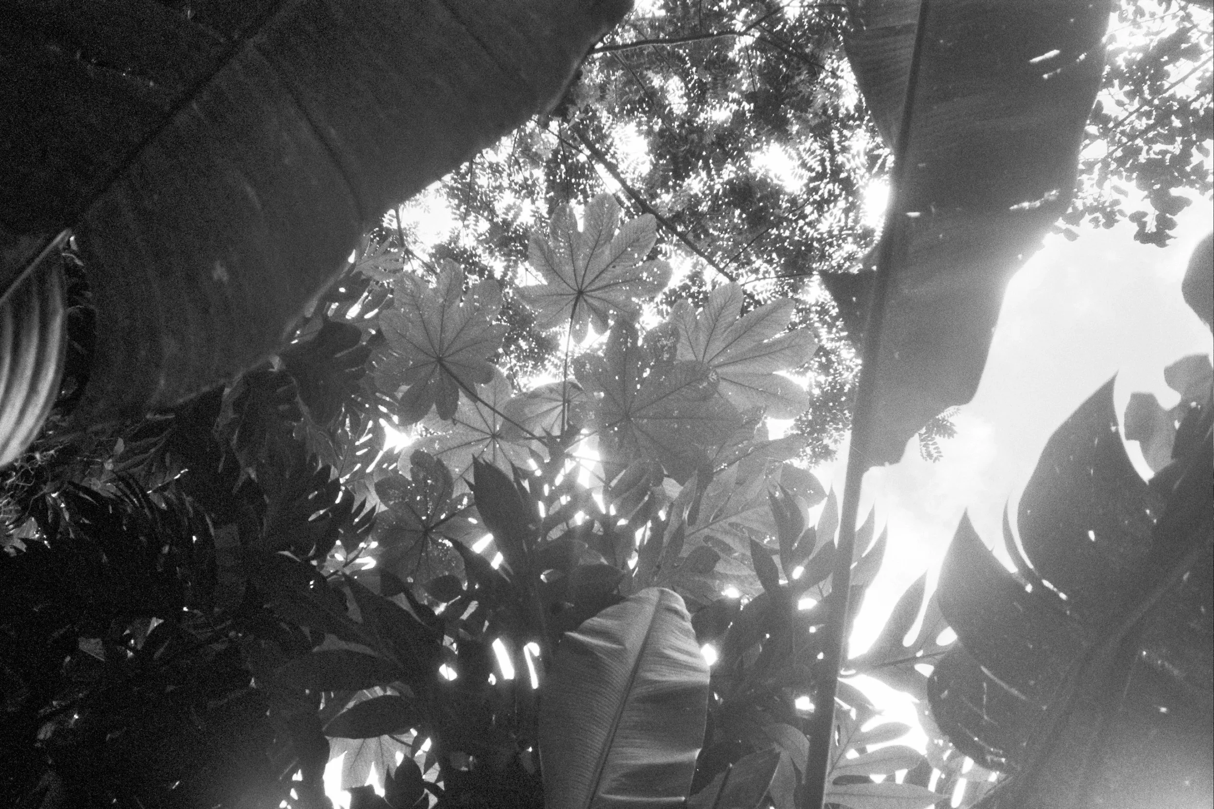 26A_0225.jpg