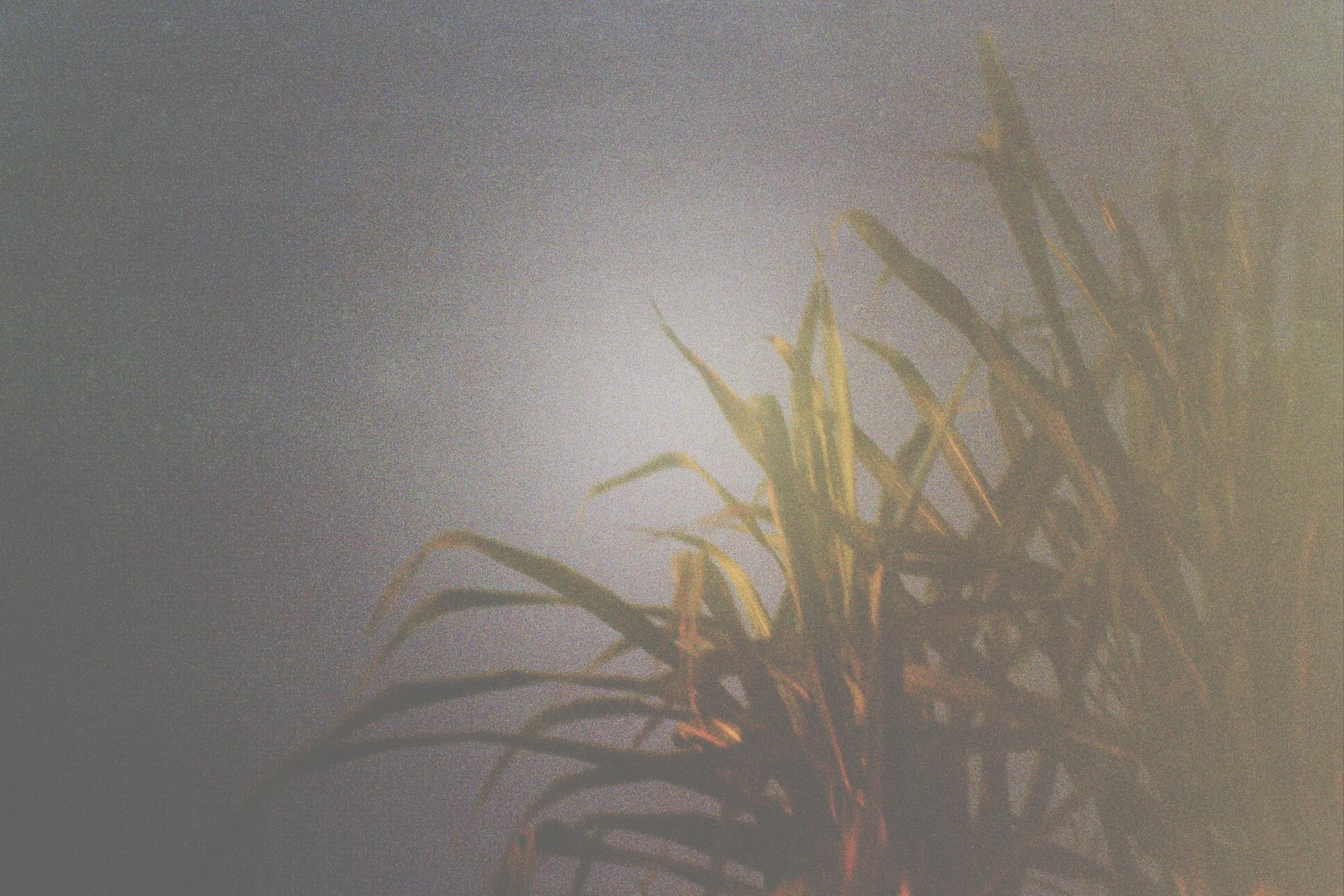 _9A_0676.jpg