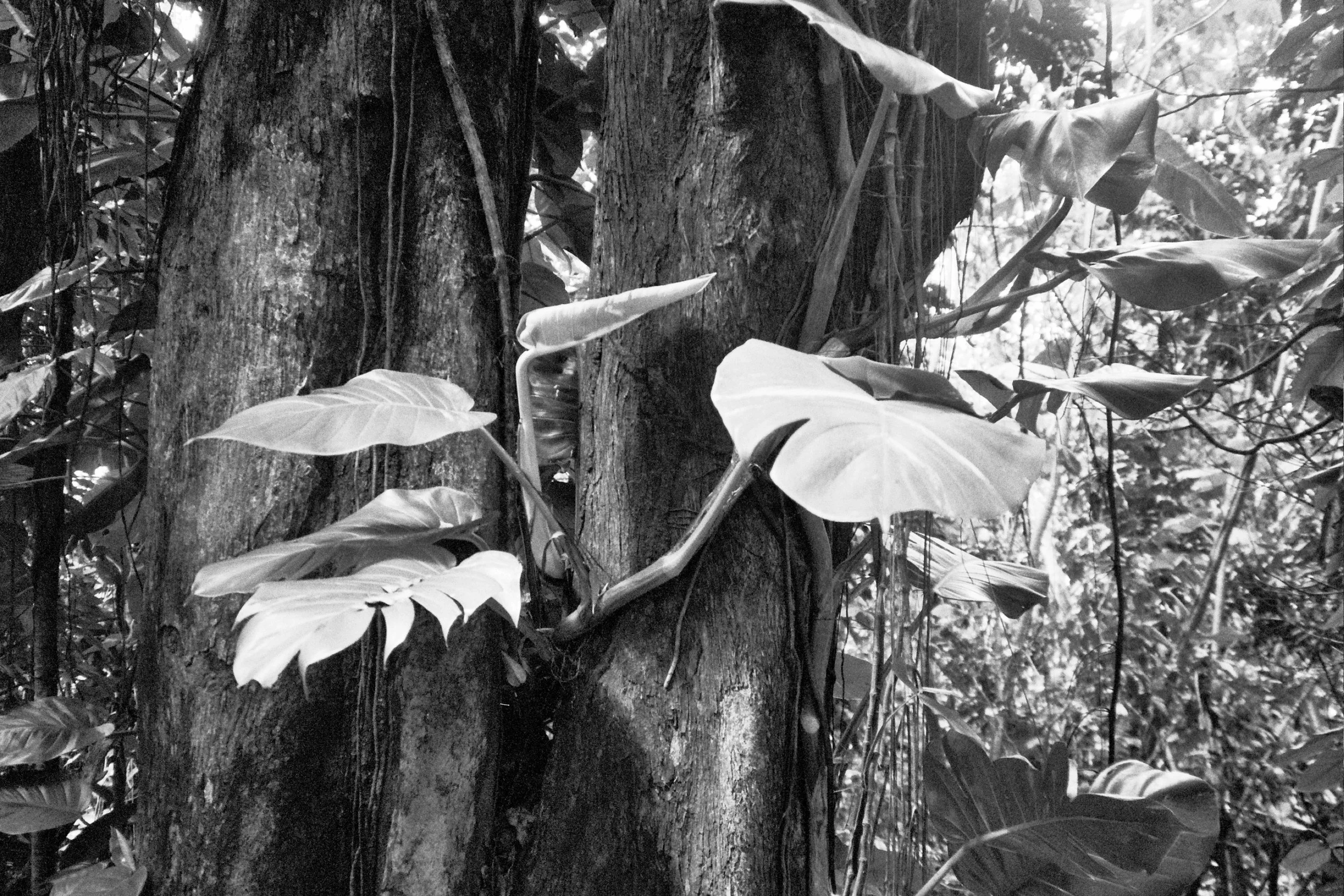 31A_0220.jpg