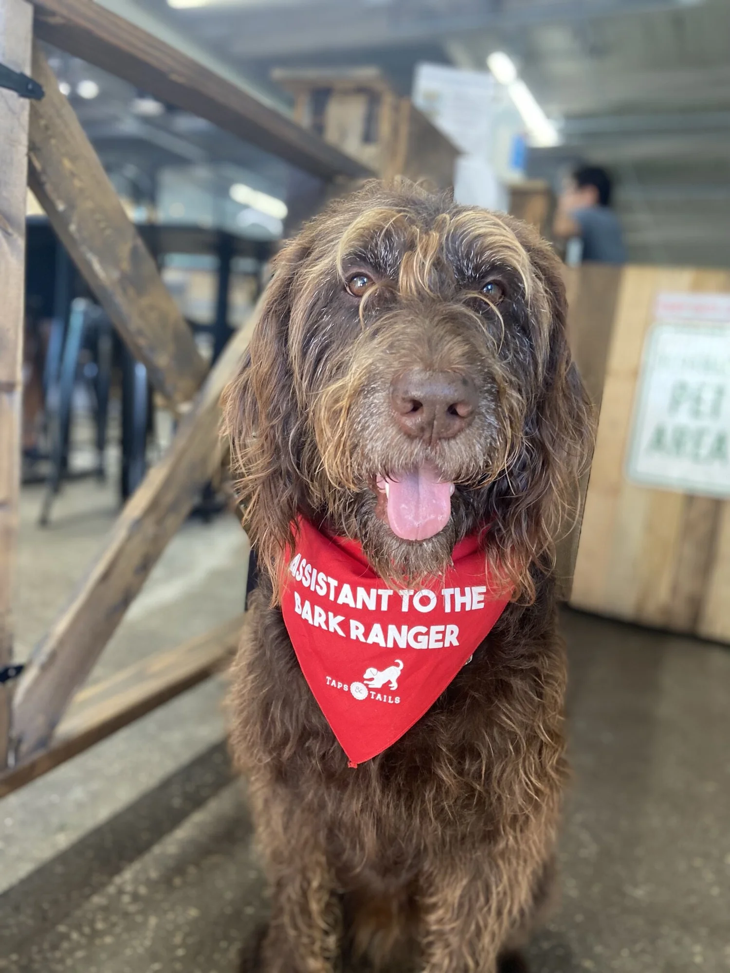 Register My Dog — Taps and Tails