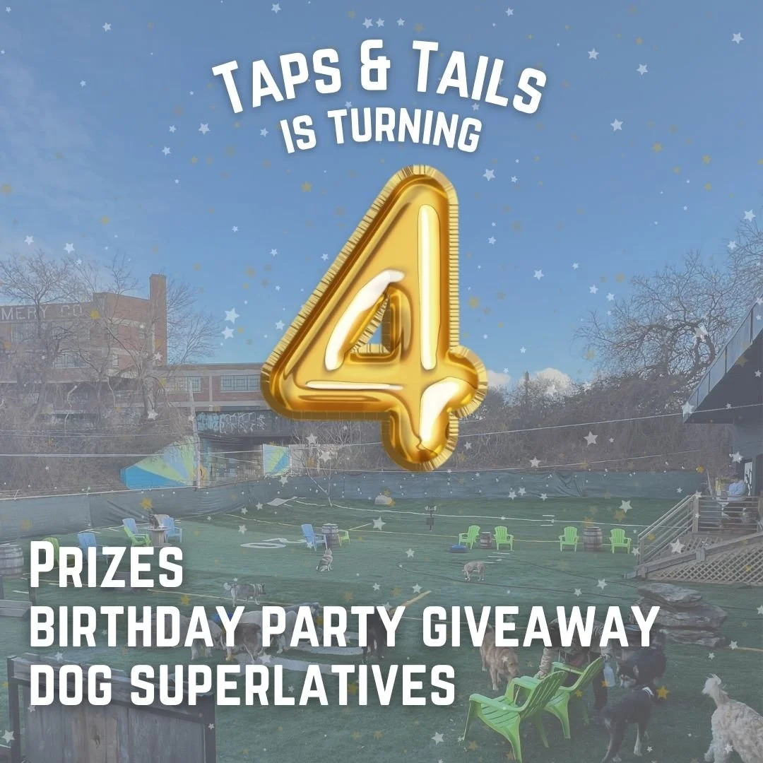 Taps & Tails Anniversary Party
