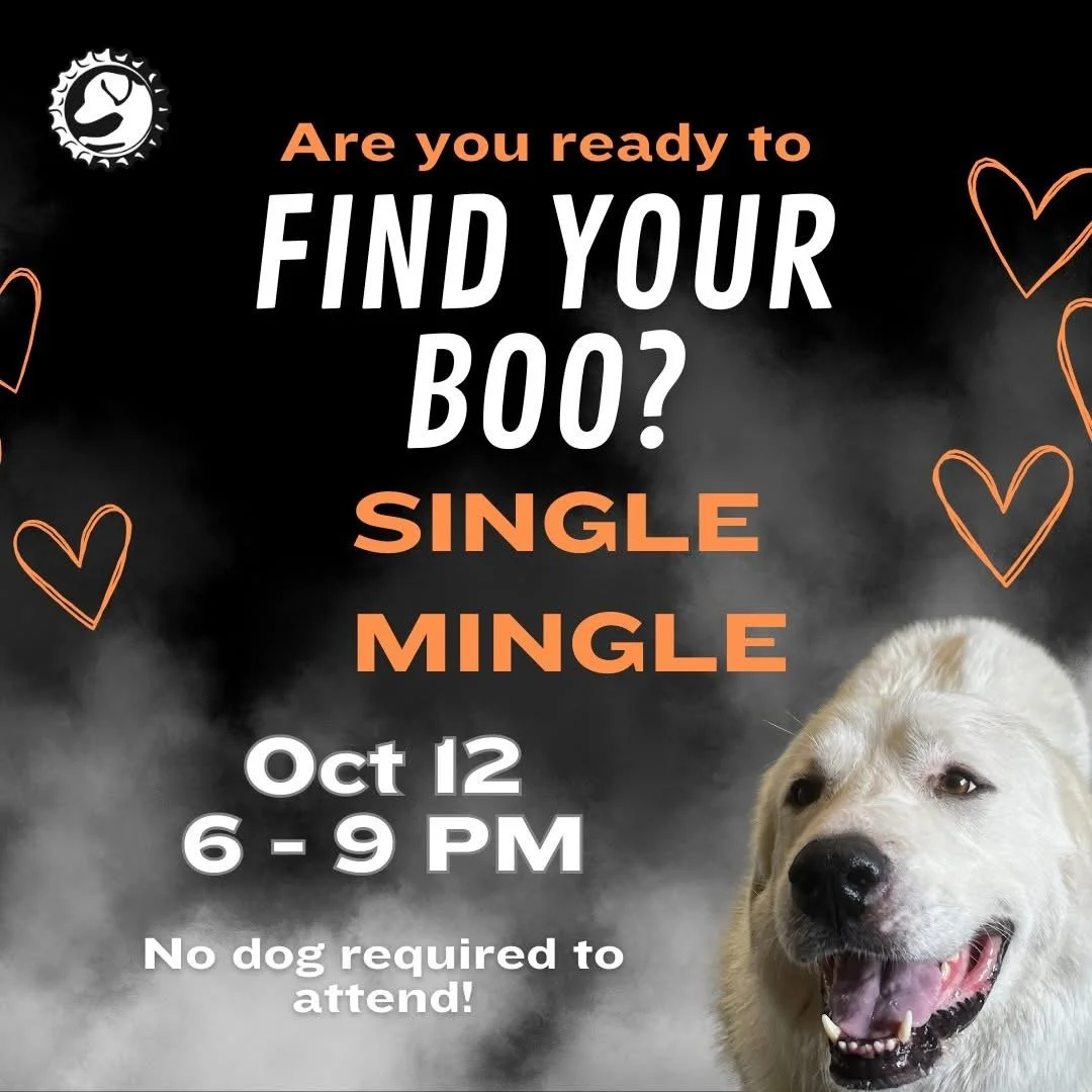 Single Mingle