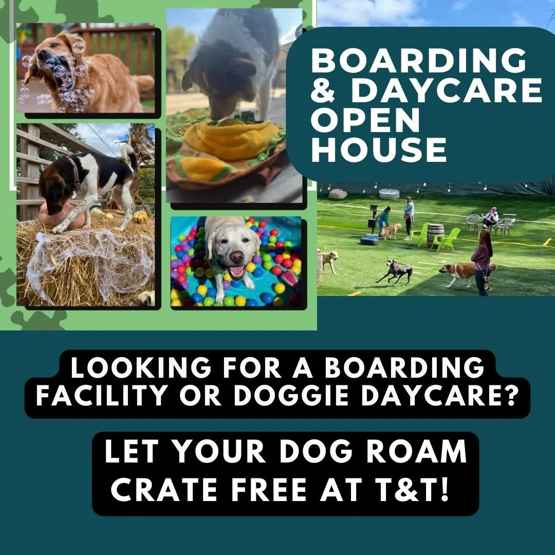 Daycare & Boarding Open House
