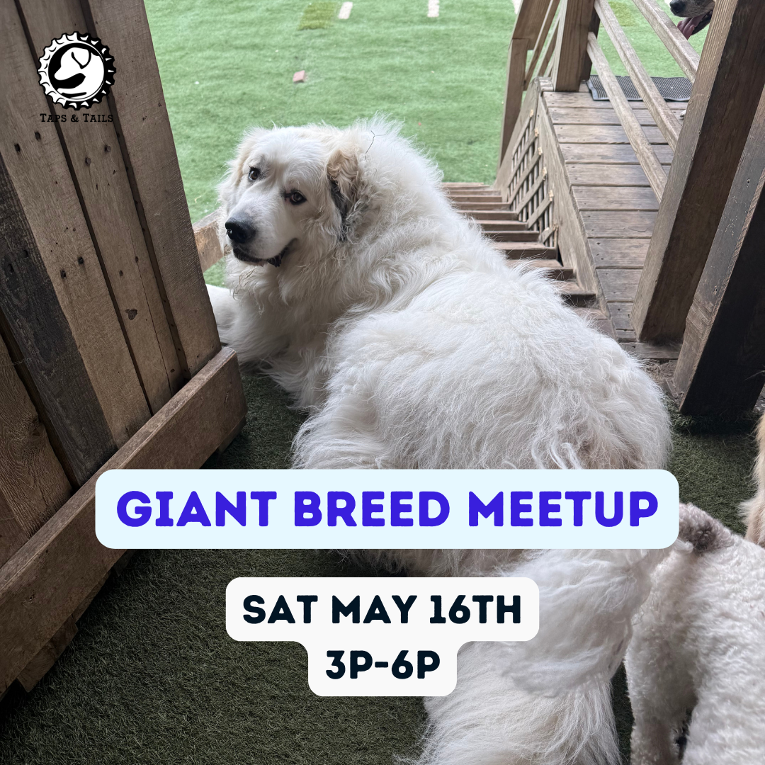 Giant Breed Meetup
