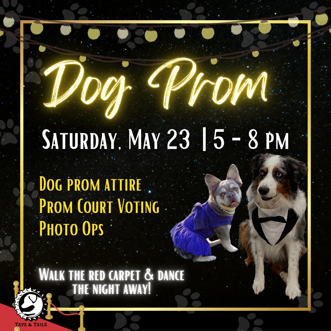 Dog Prom