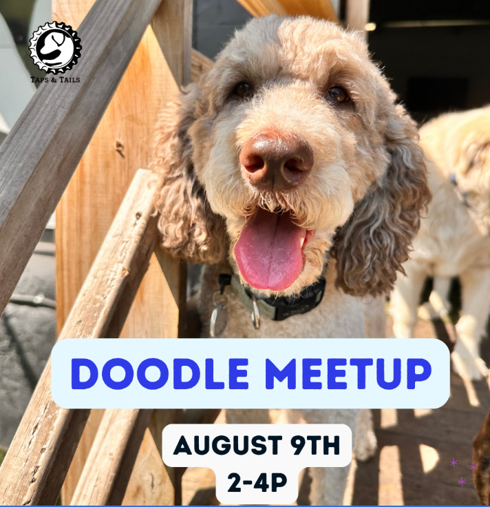 Doodle Meetup