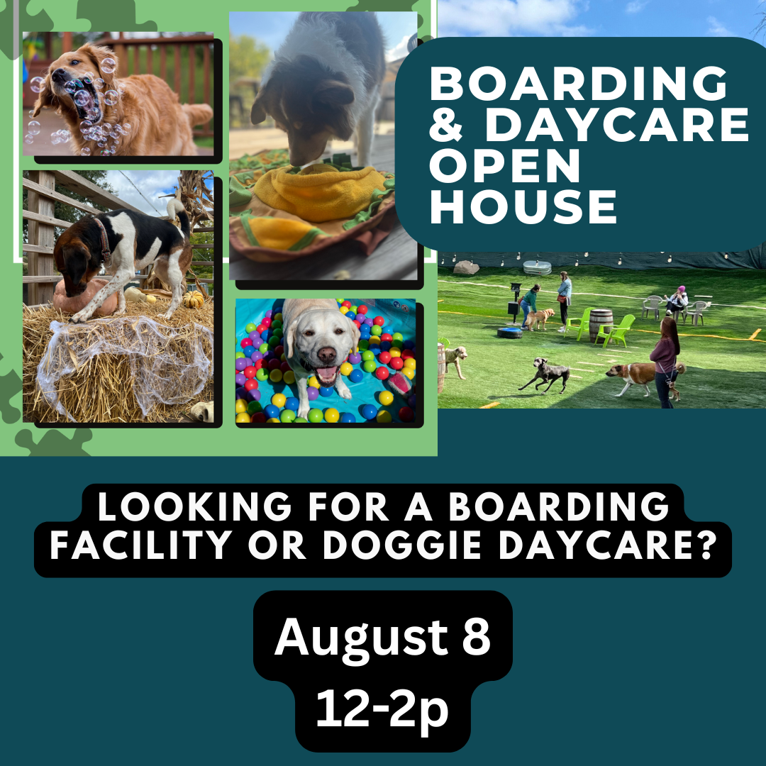 Daycare and Boarding Open House